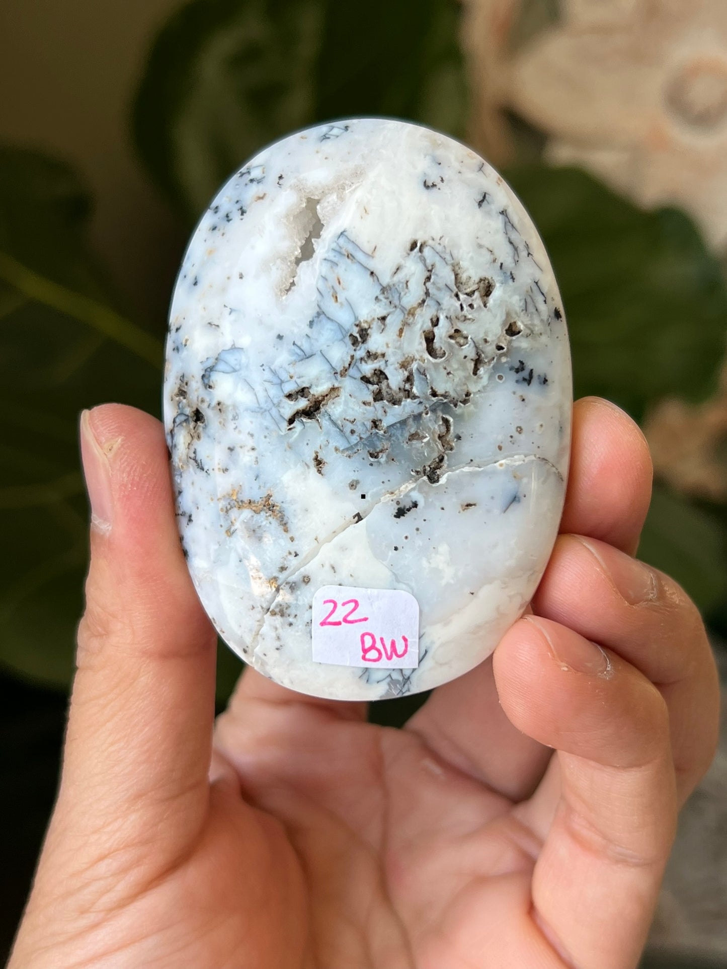 Dendritic Agate Palmstones