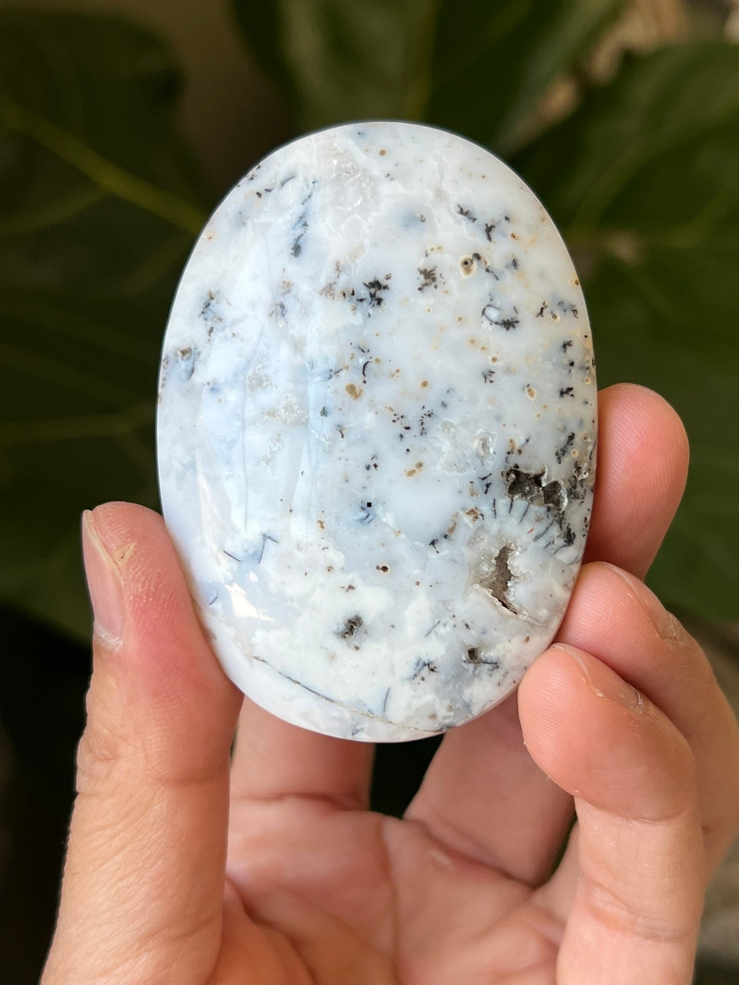 Dendritic Agate Palmstones