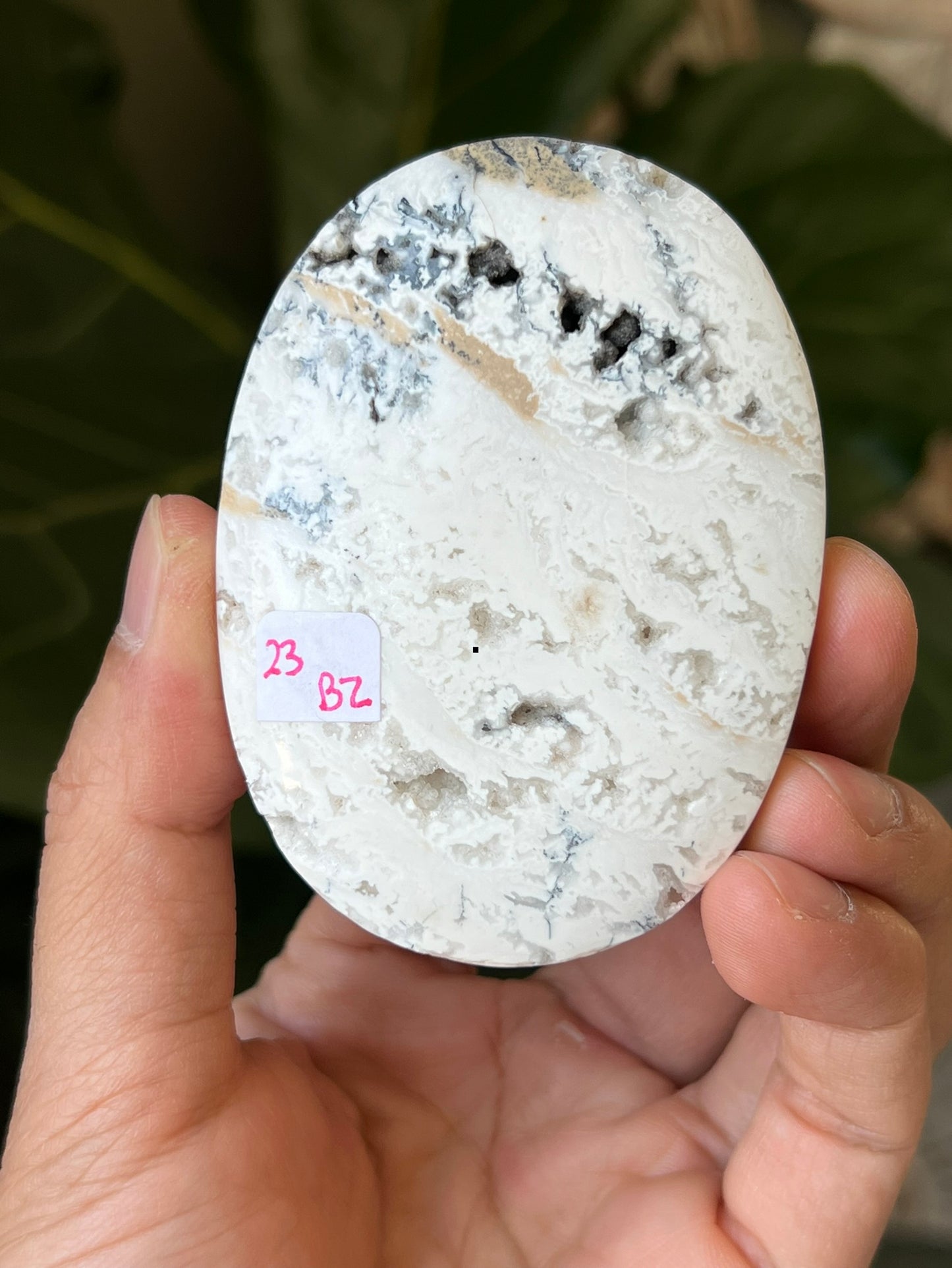 Dendritic Agate Palmstones