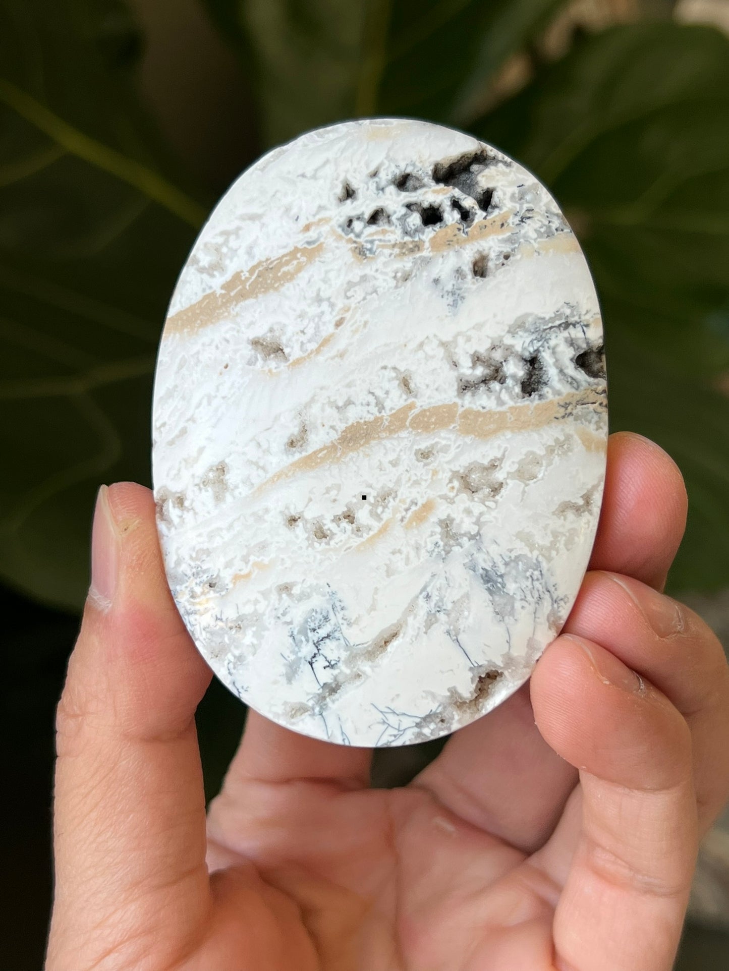 Dendritic Agate Palmstones