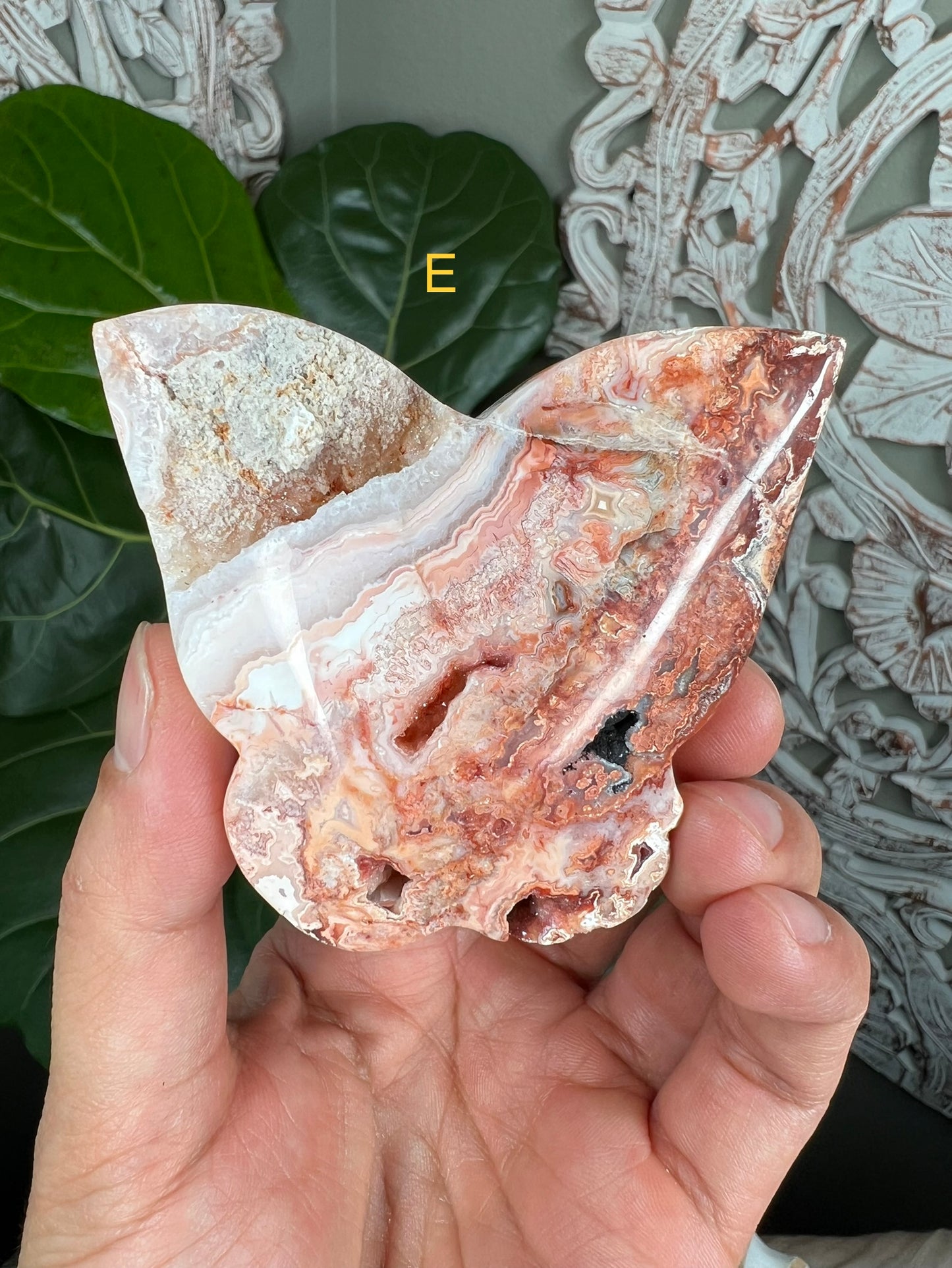 Crazy Lace Agate Butterflies