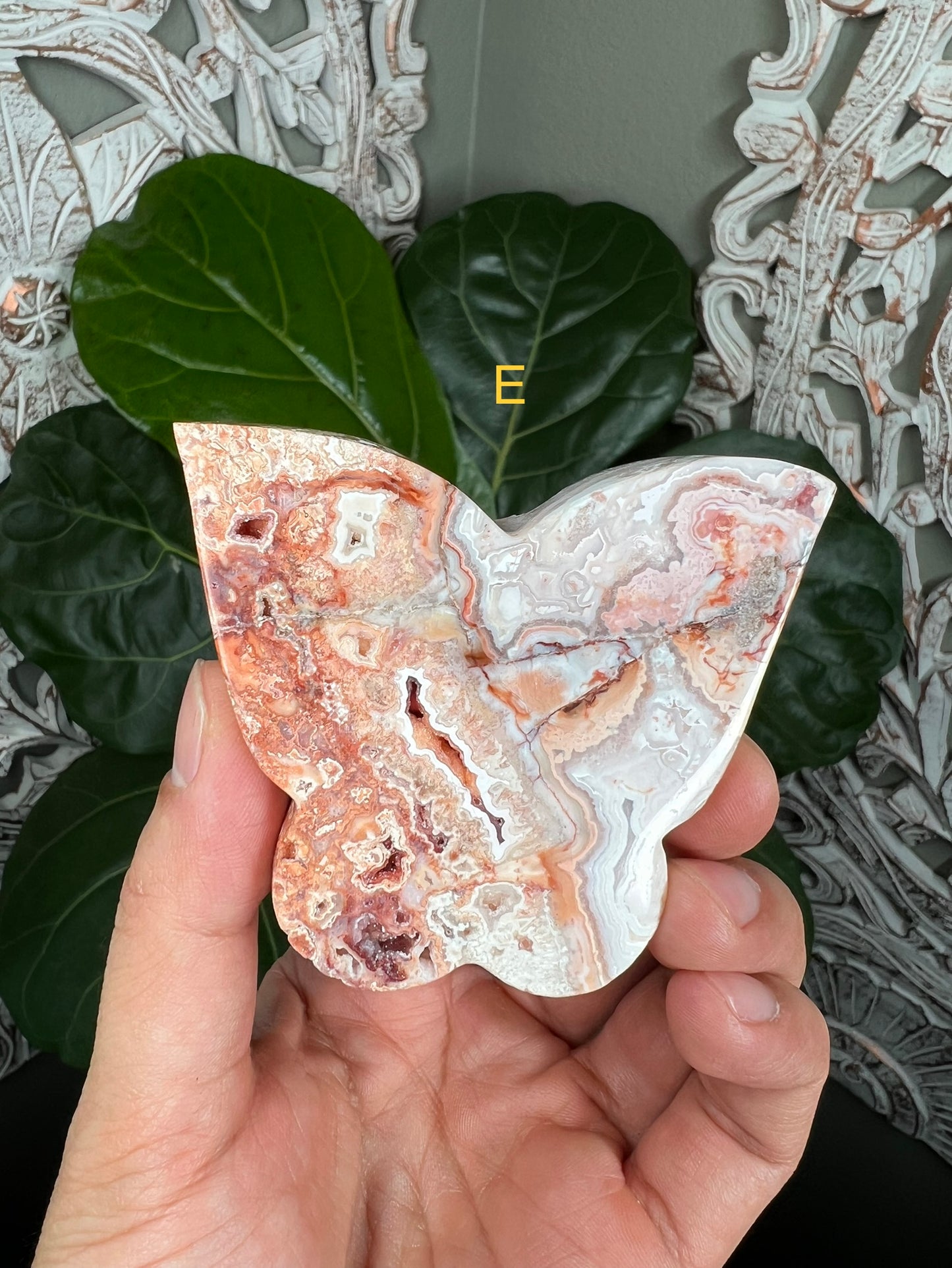 Crazy Lace Agate Butterflies