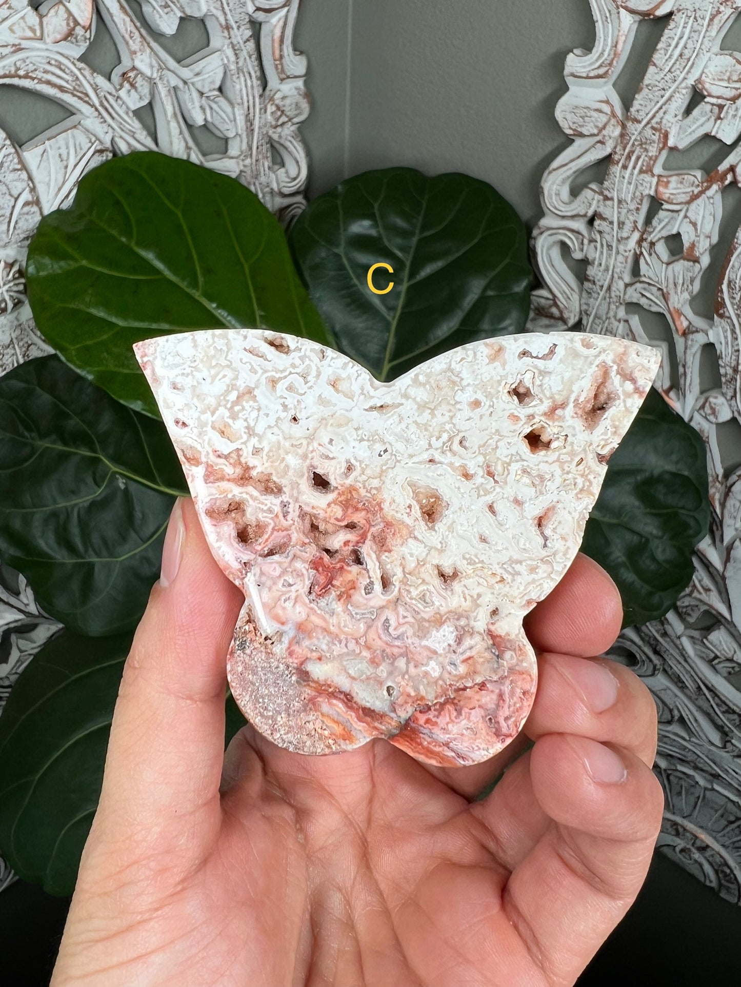 Crazy Lace Agate Butterflies