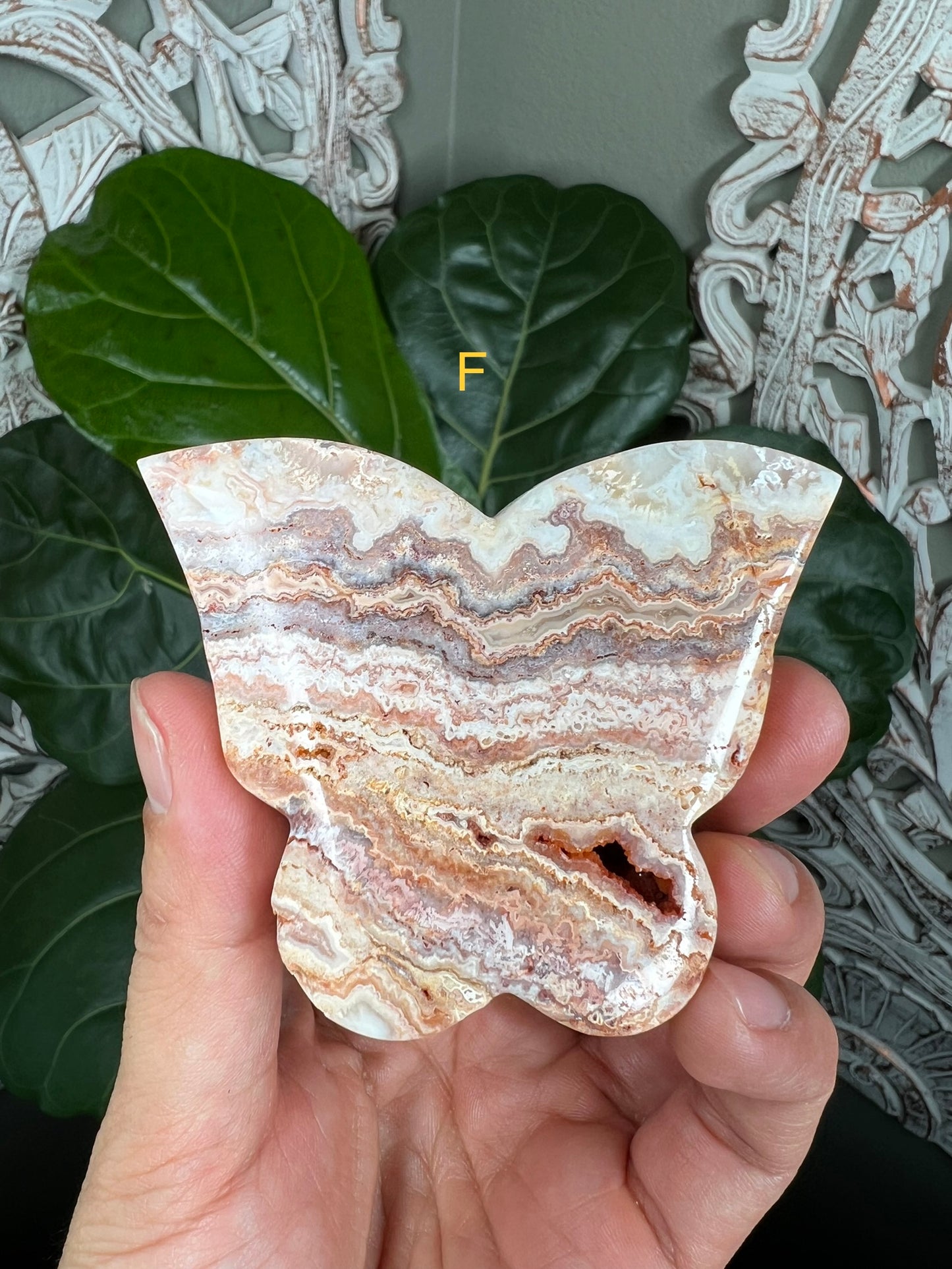 Crazy Lace Agate Butterflies