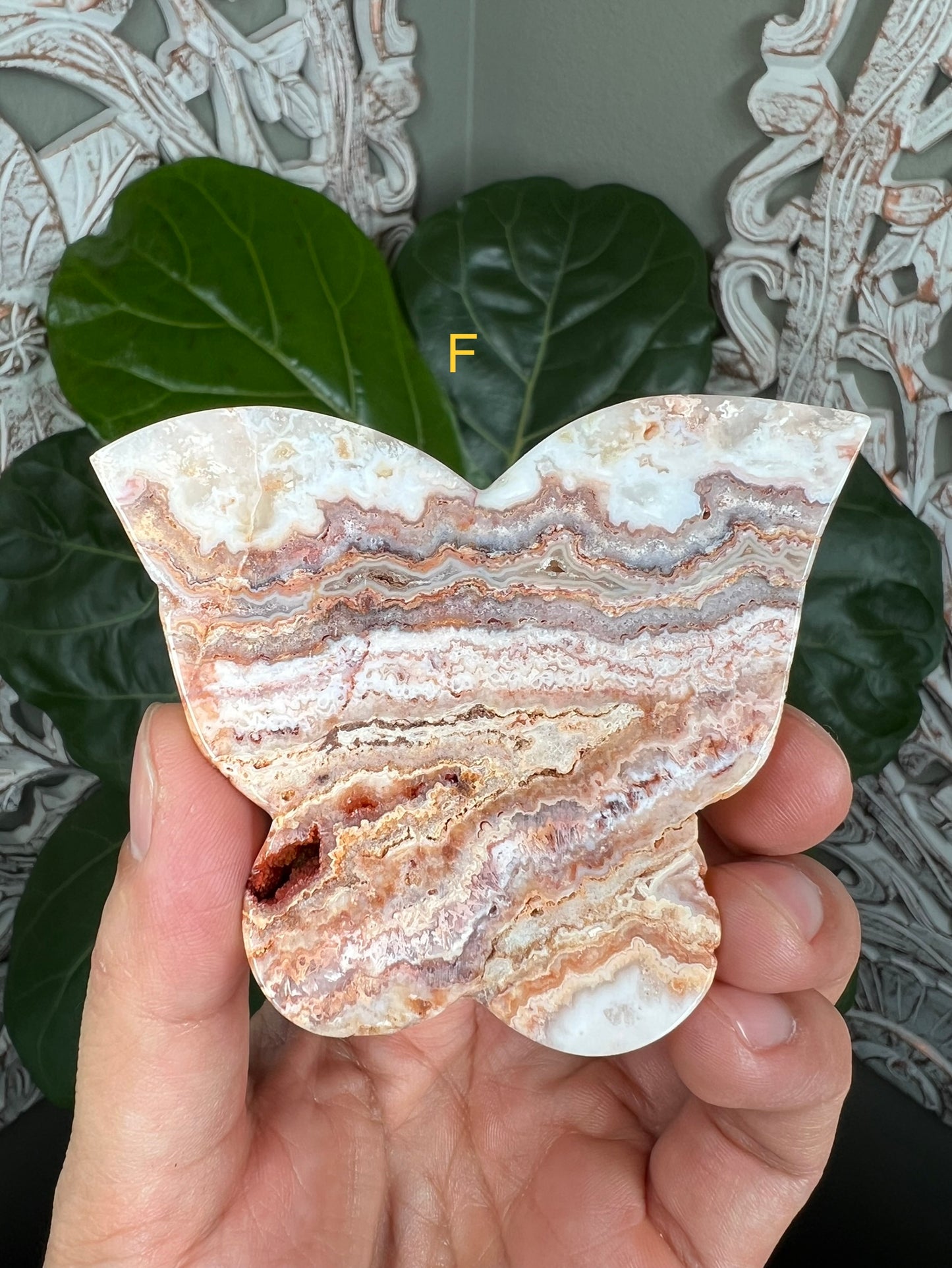 Crazy Lace Agate Butterflies