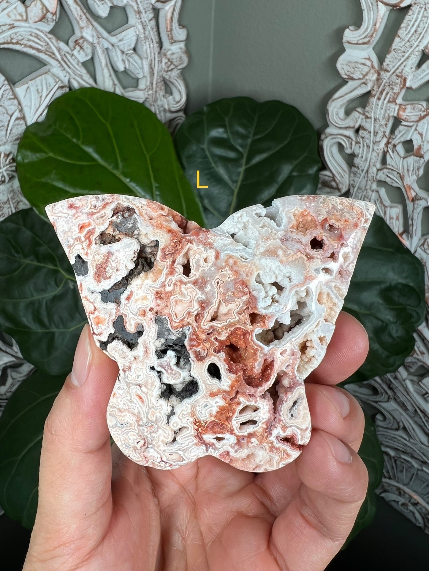 Crazy Lace Agate Butterflies