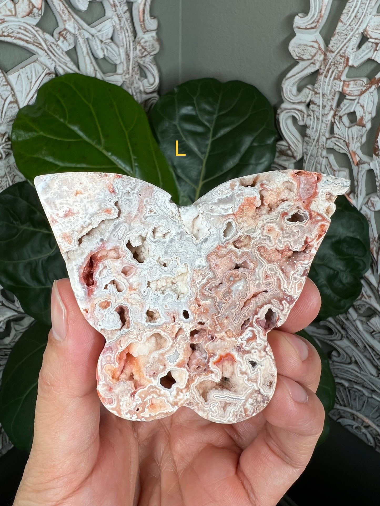 Crazy Lace Agate Butterflies