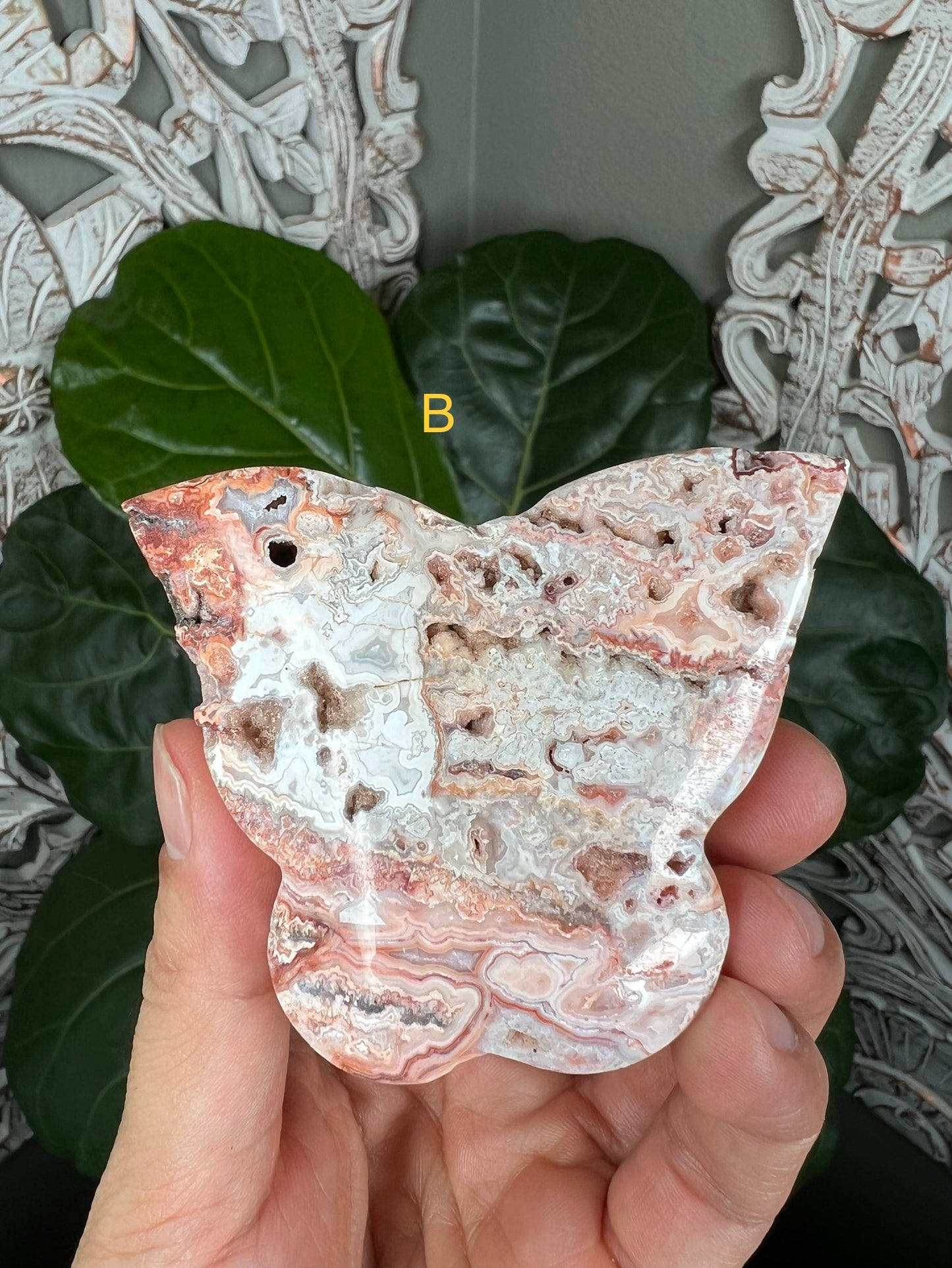 Crazy Lace Agate Butterflies