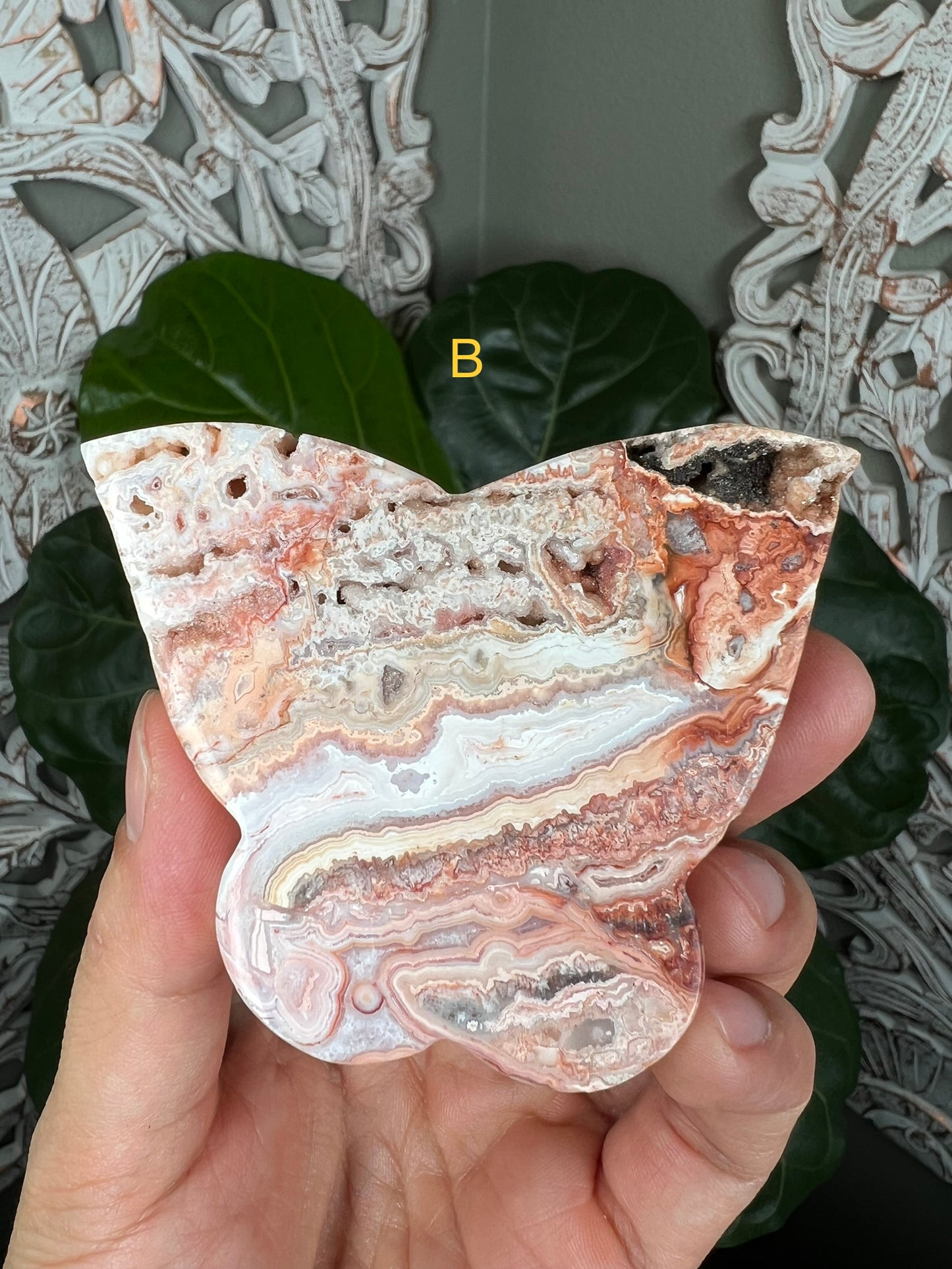 Crazy Lace Agate Butterflies