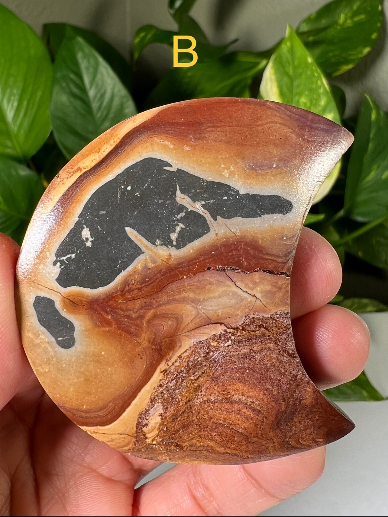 Polychrome Jasper Moons