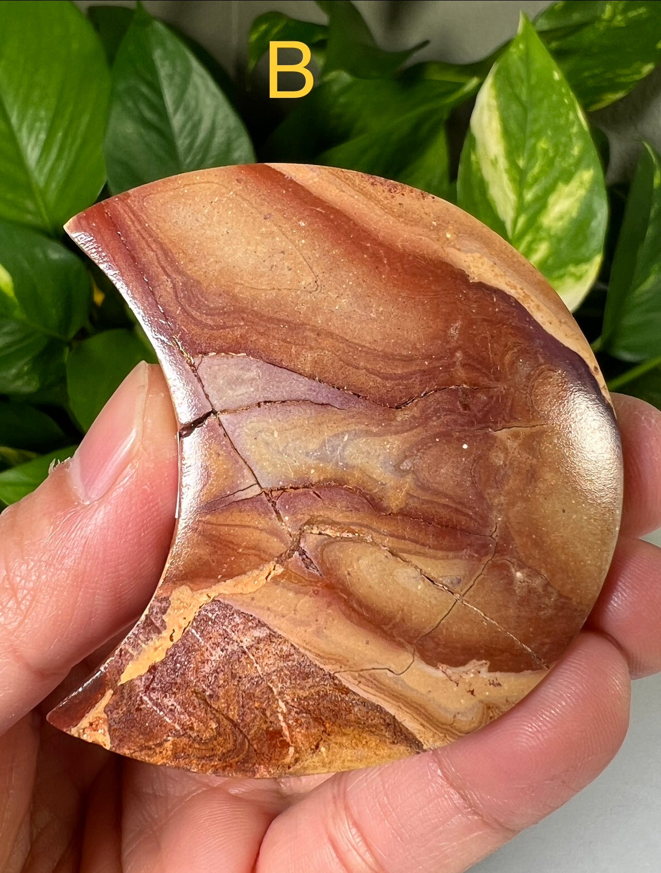 Polychrome Jasper Moons