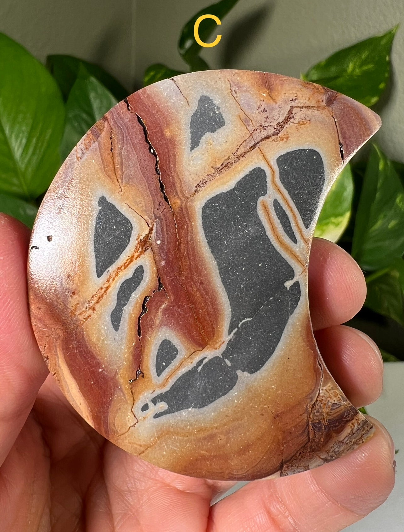 Polychrome Jasper Moons