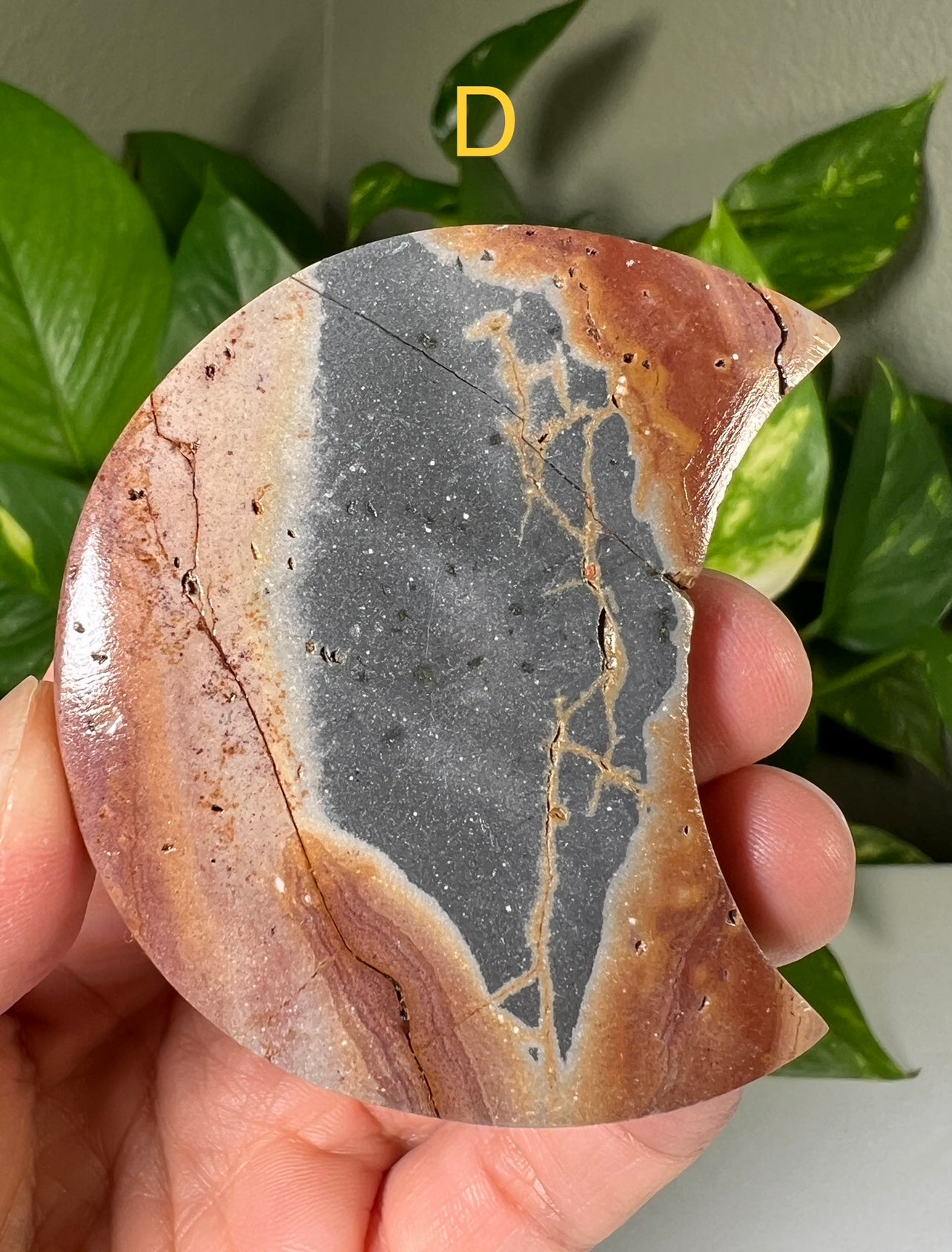 Polychrome Jasper Moons