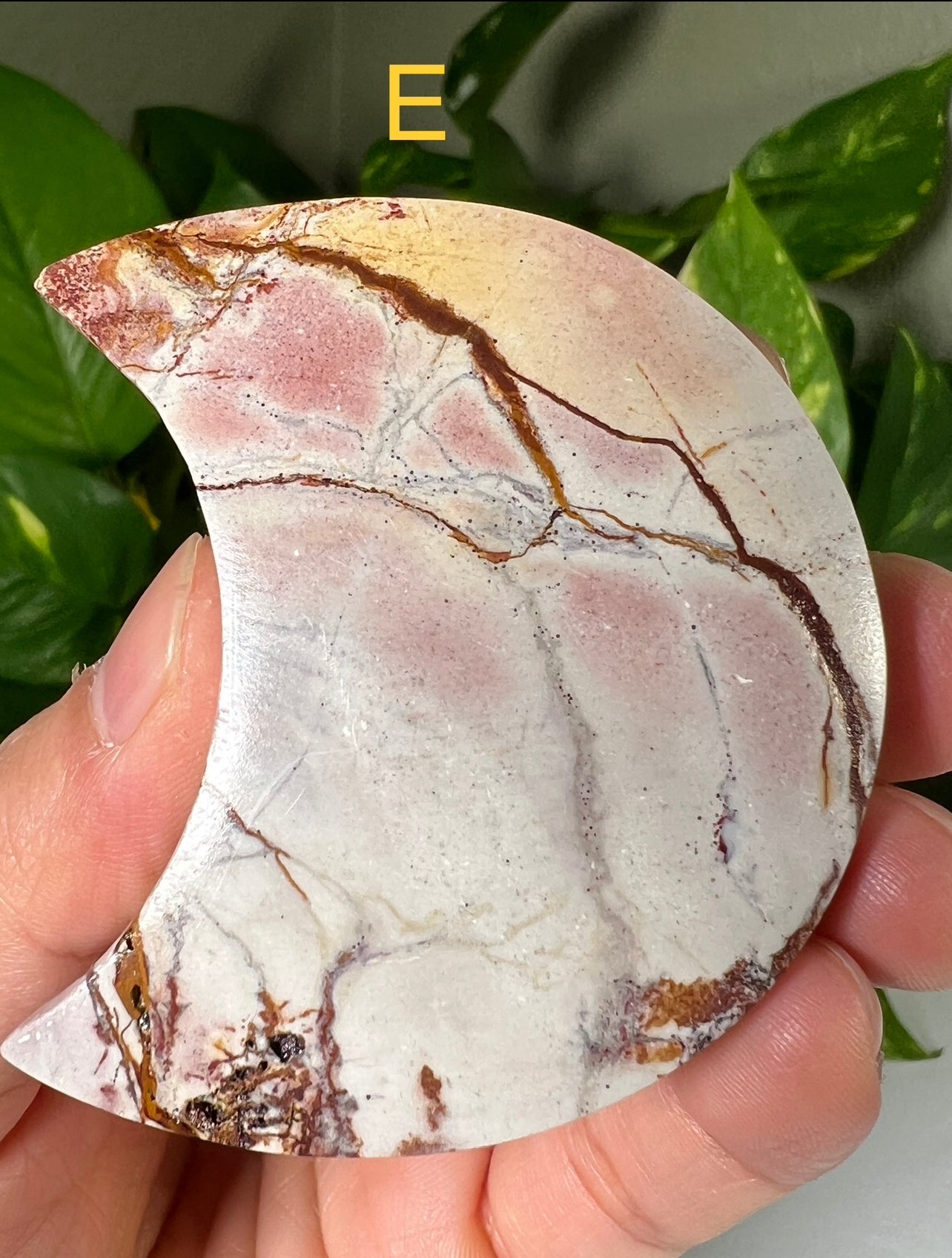 Polychrome Jasper Moons