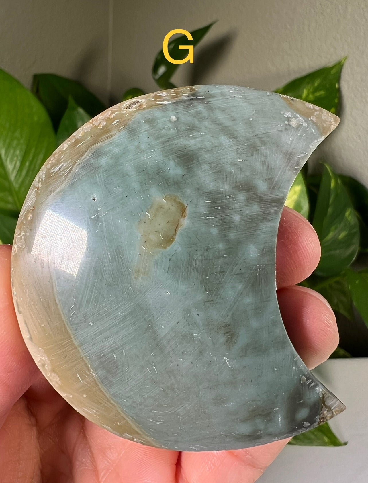 Polychrome Jasper Moons