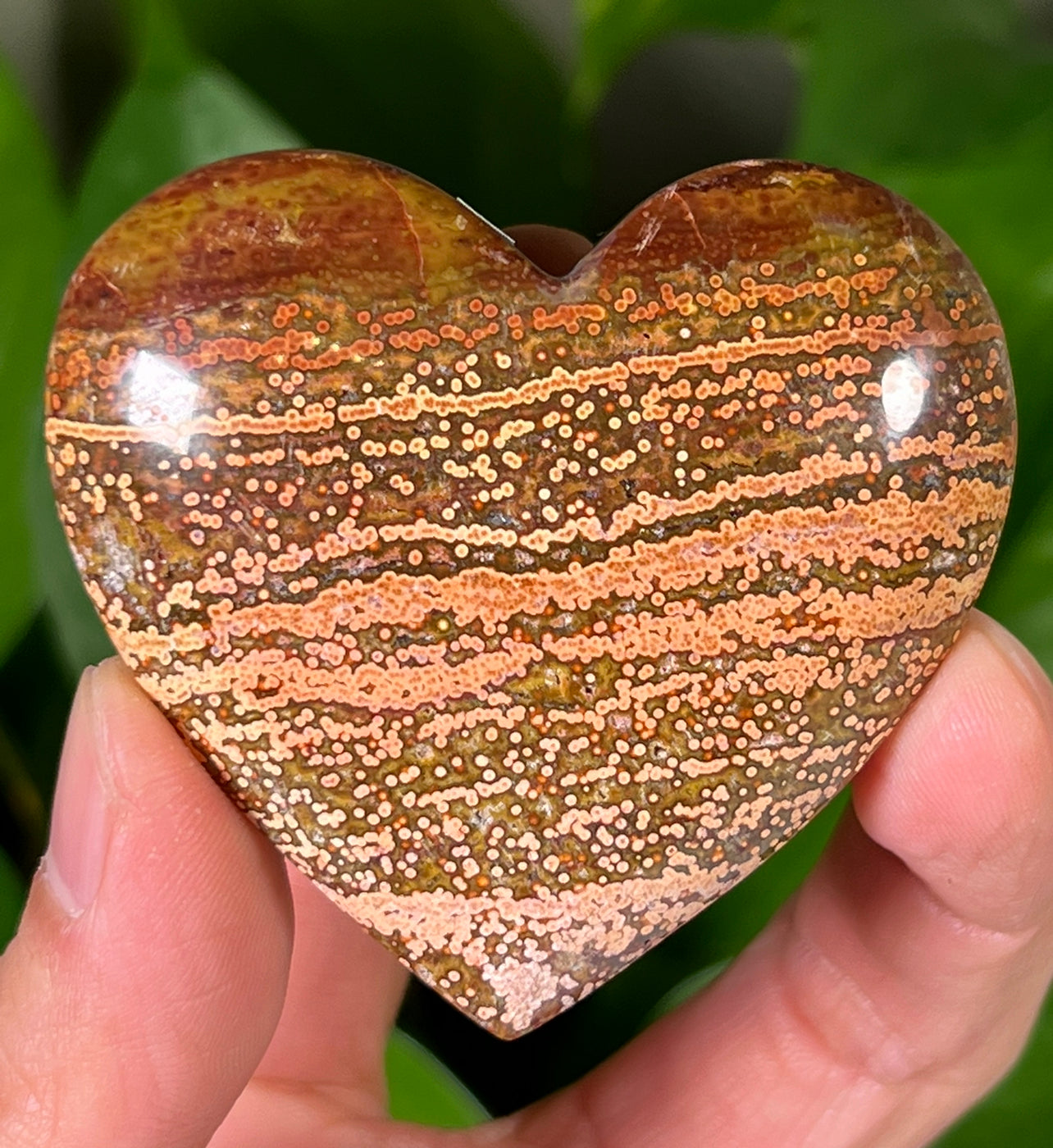 Ocean Jasper Hearts