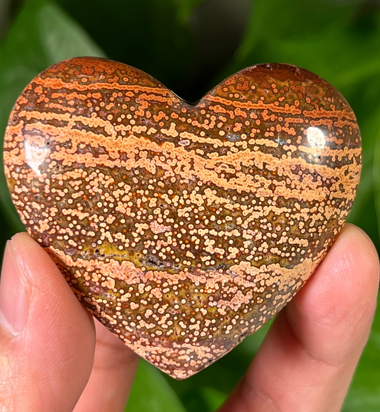 Ocean Jasper Hearts