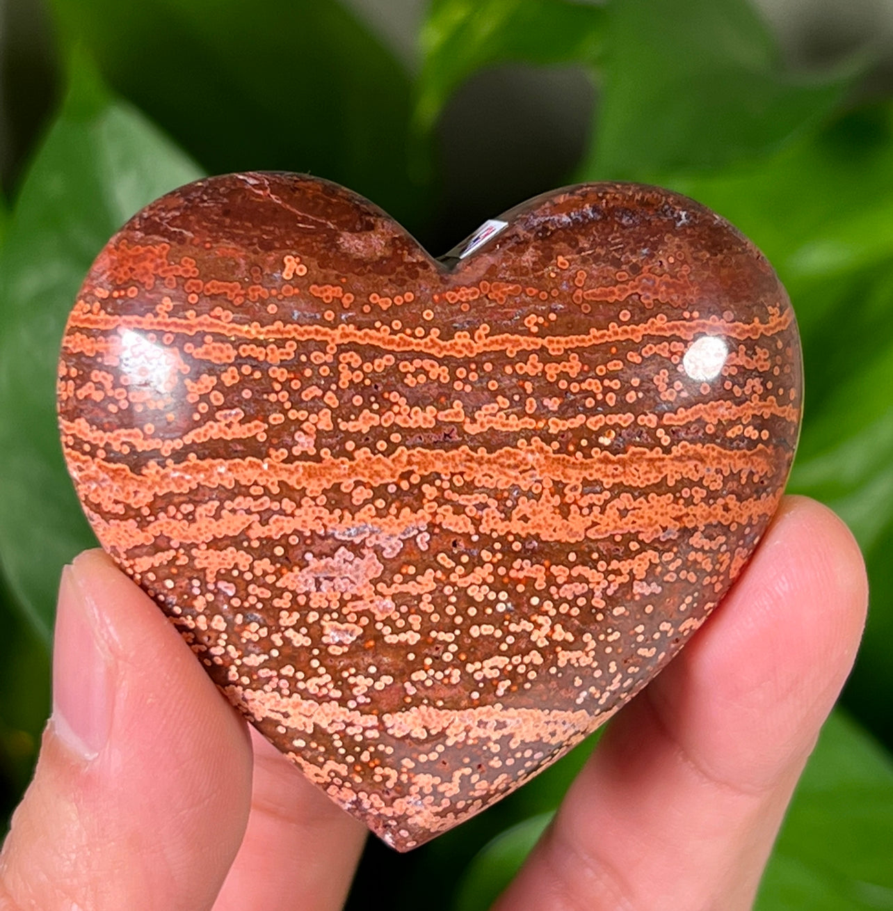 Ocean Jasper Hearts