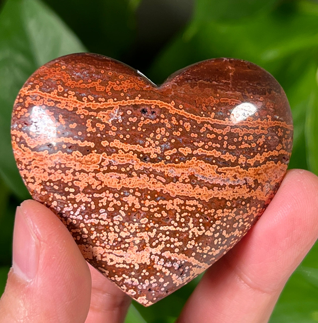 Ocean Jasper Hearts