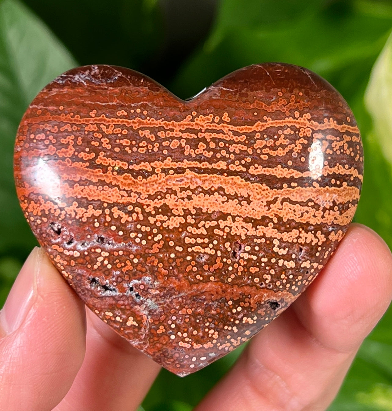 Ocean Jasper Hearts