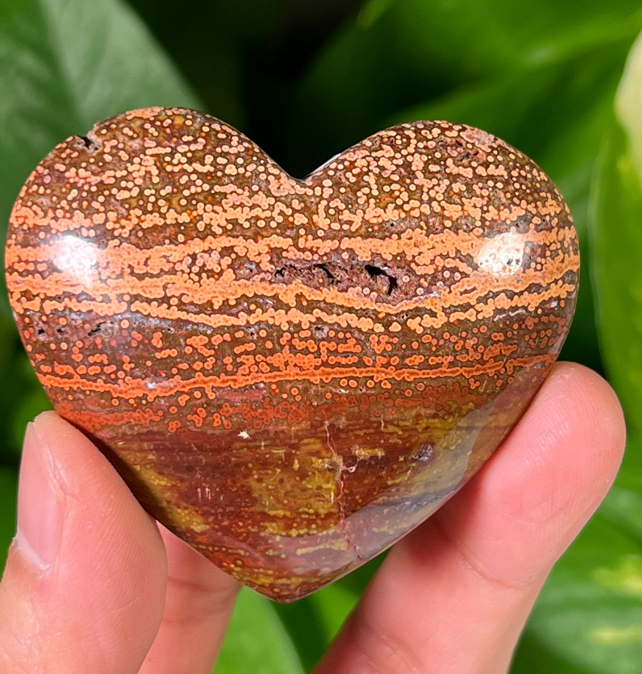 Ocean Jasper Hearts