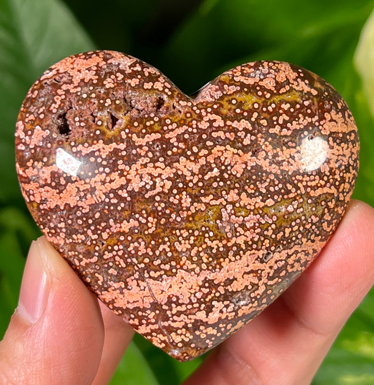 Ocean Jasper Hearts