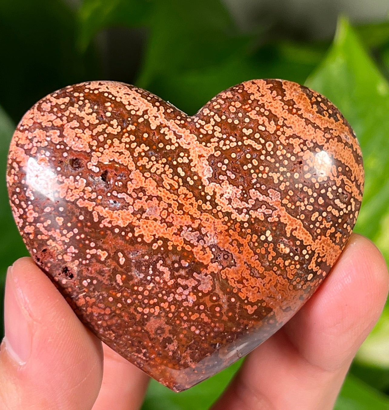 Ocean Jasper Hearts