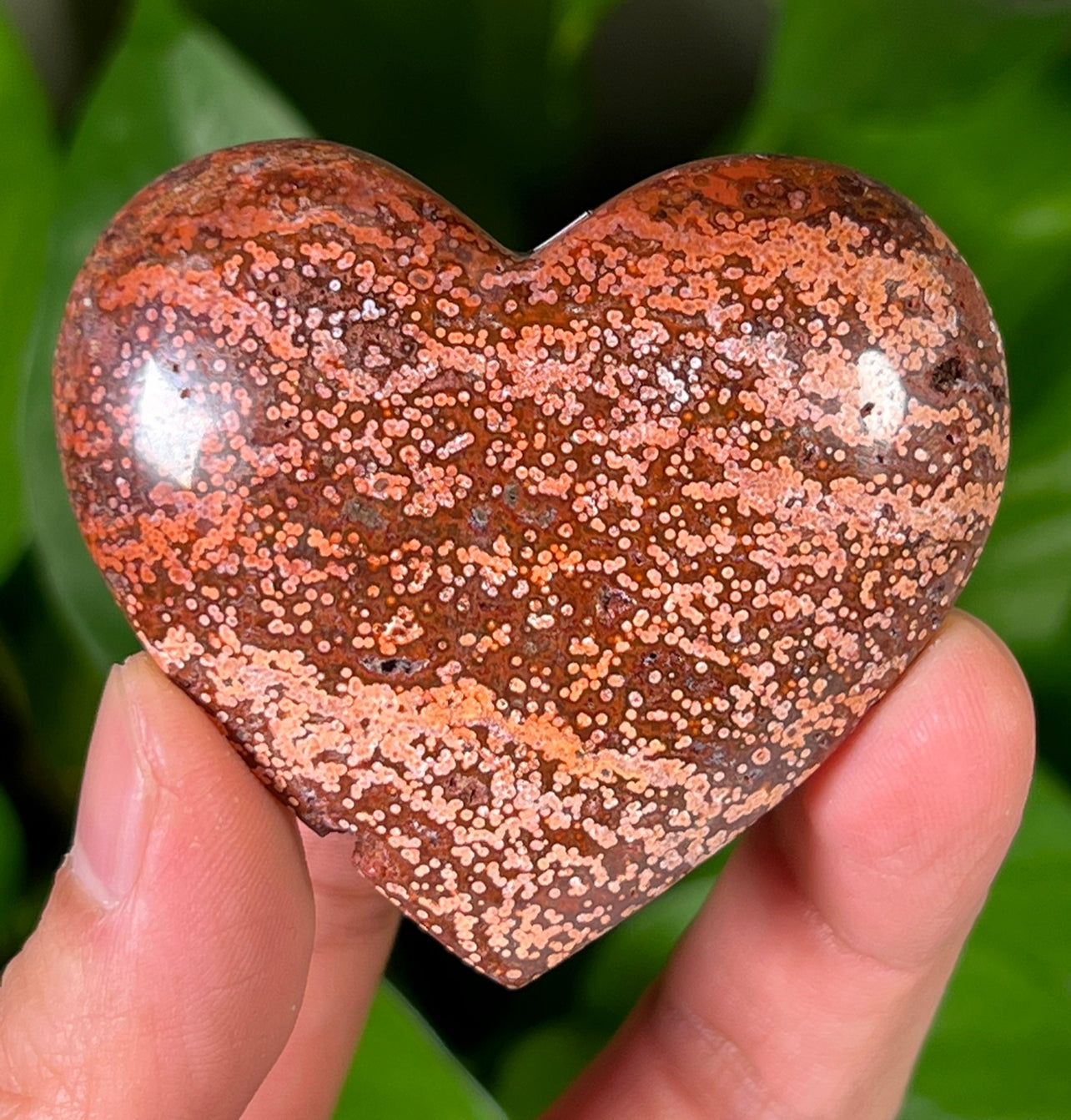 Ocean Jasper Hearts