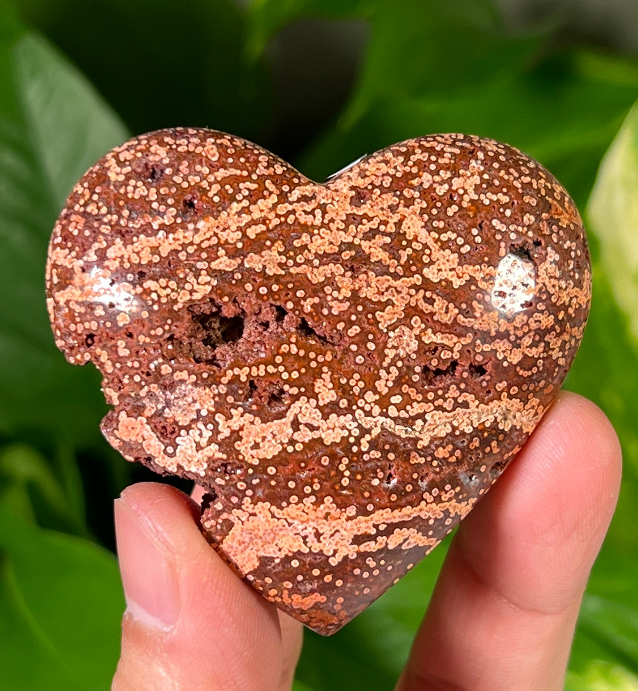 Ocean Jasper Hearts