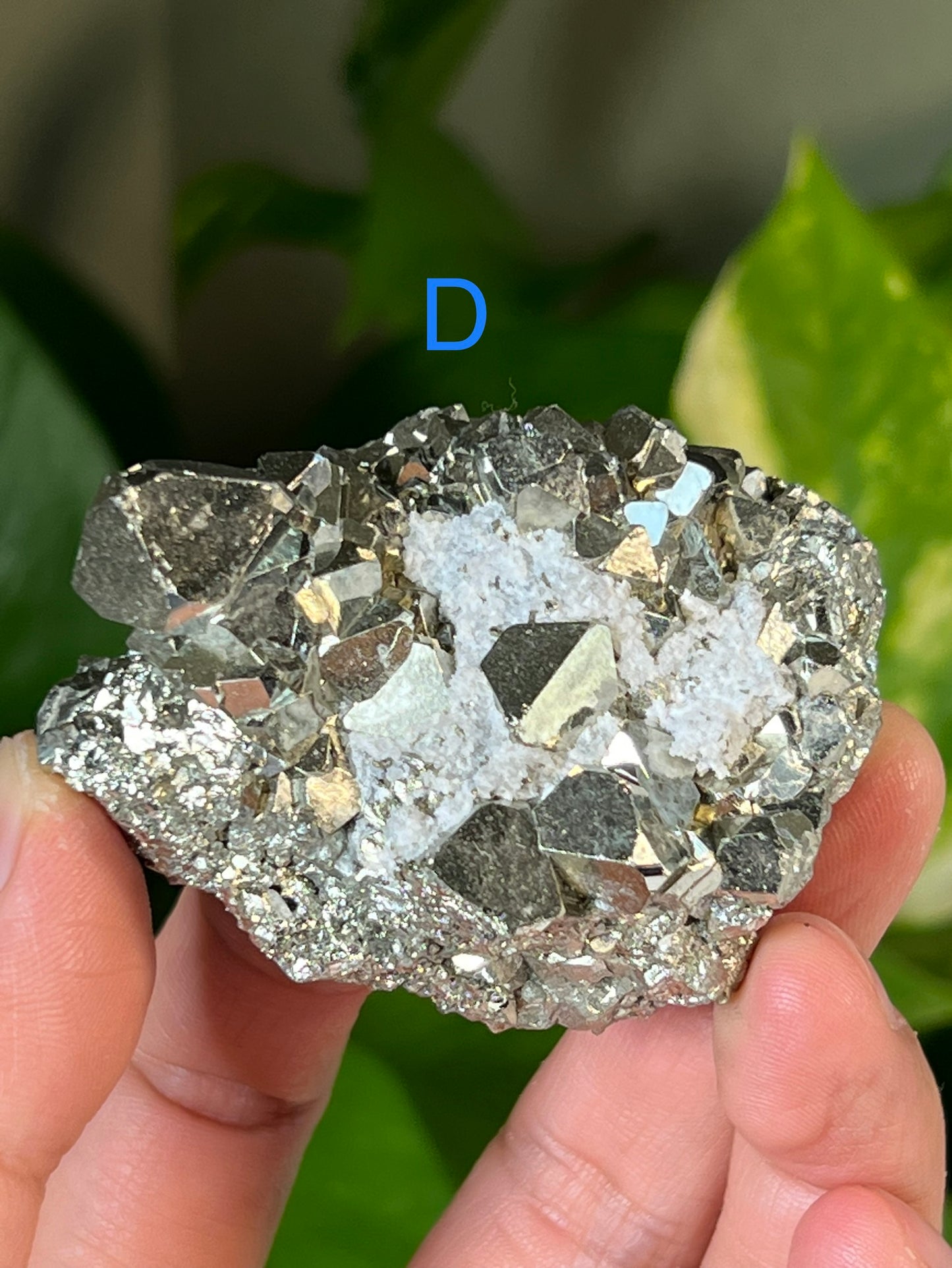 Pyrite