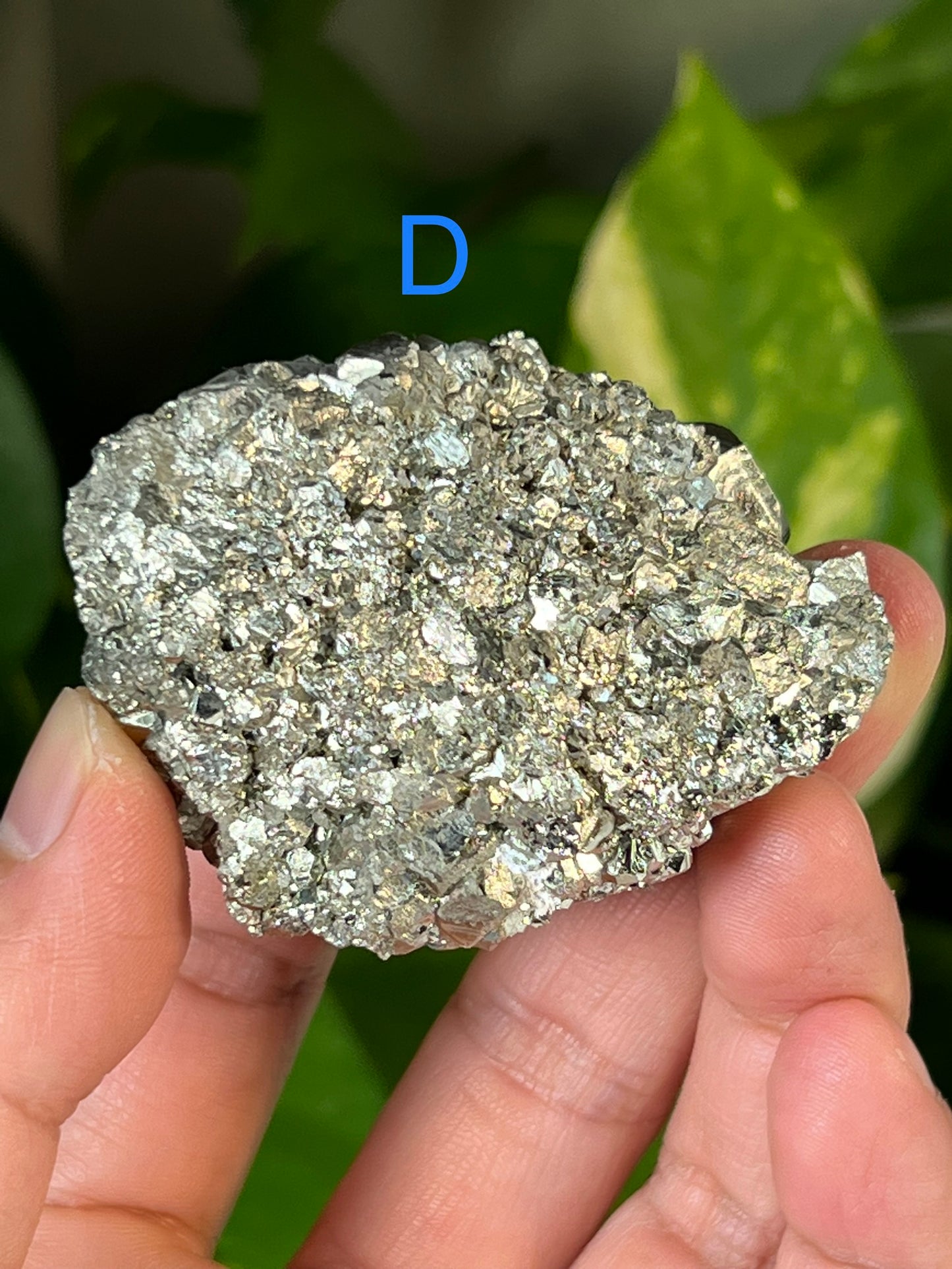 Pyrite