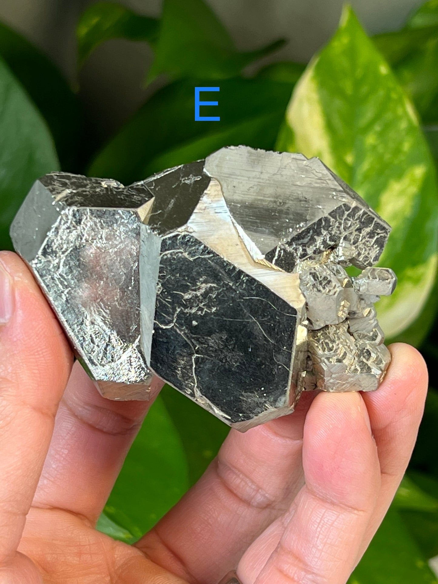 Pyrite