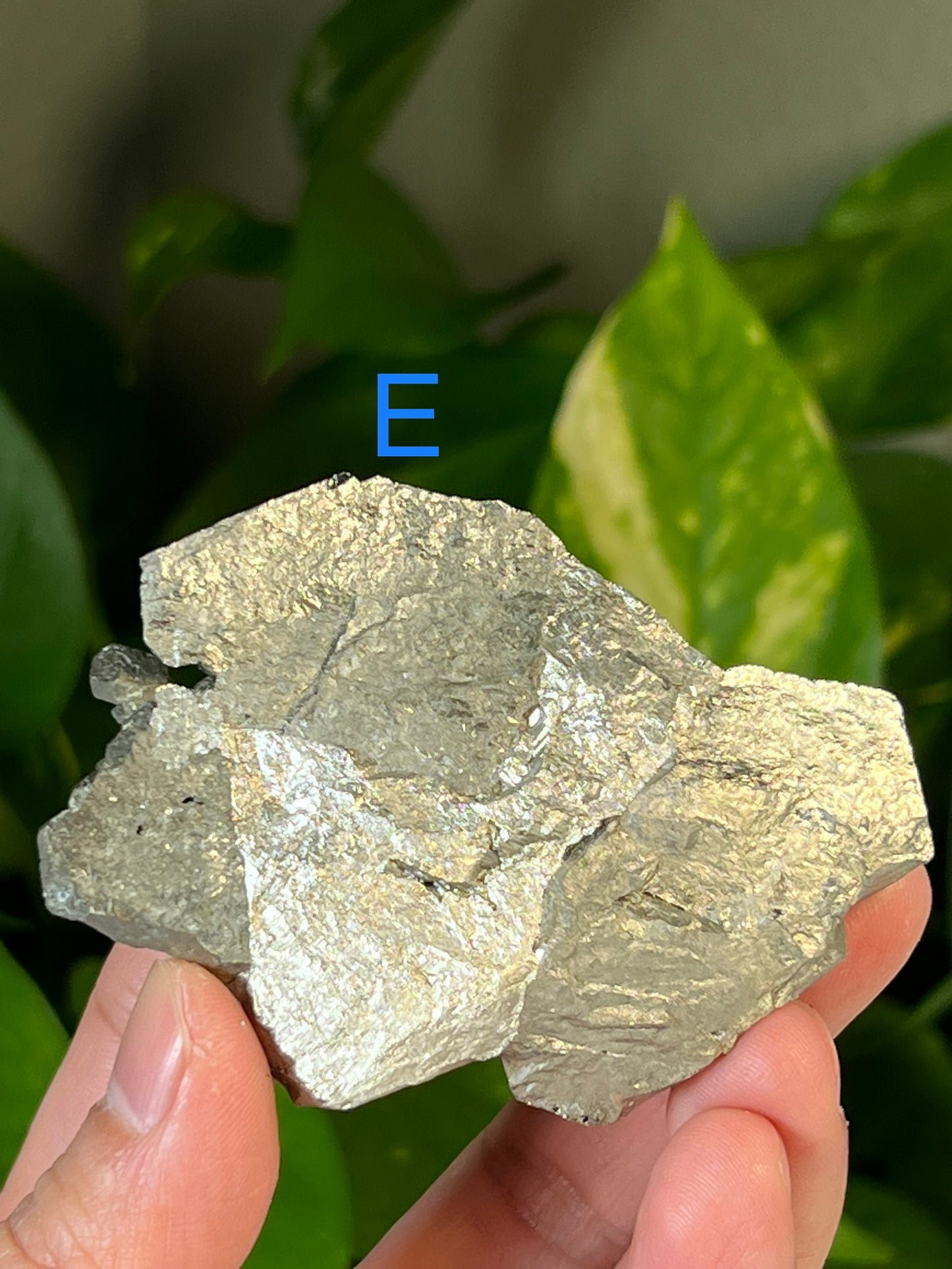 Pyrite