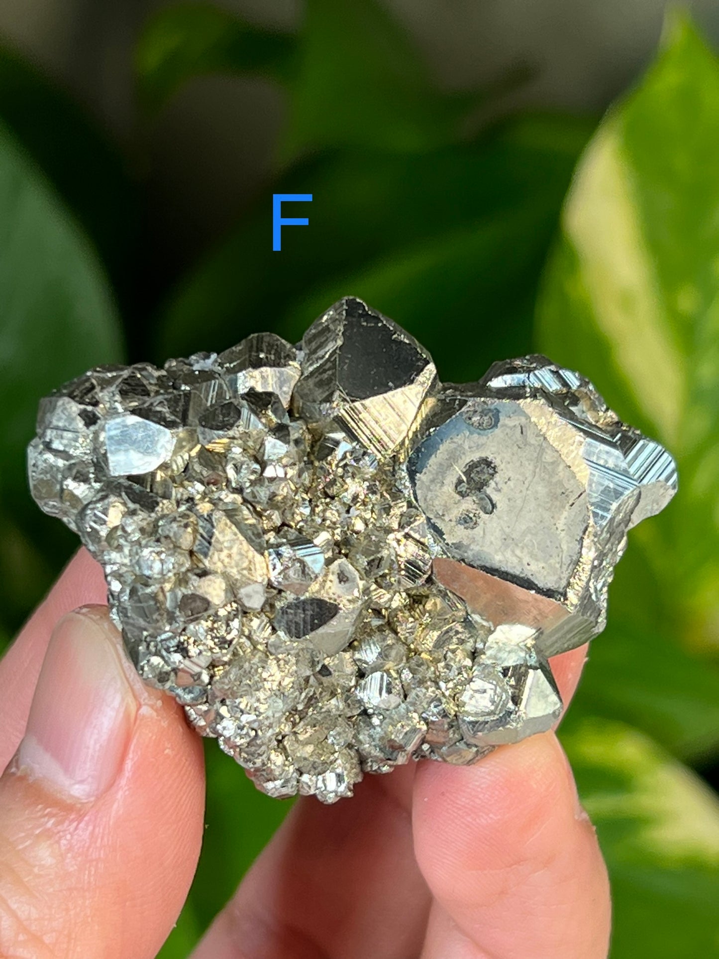 Pyrite