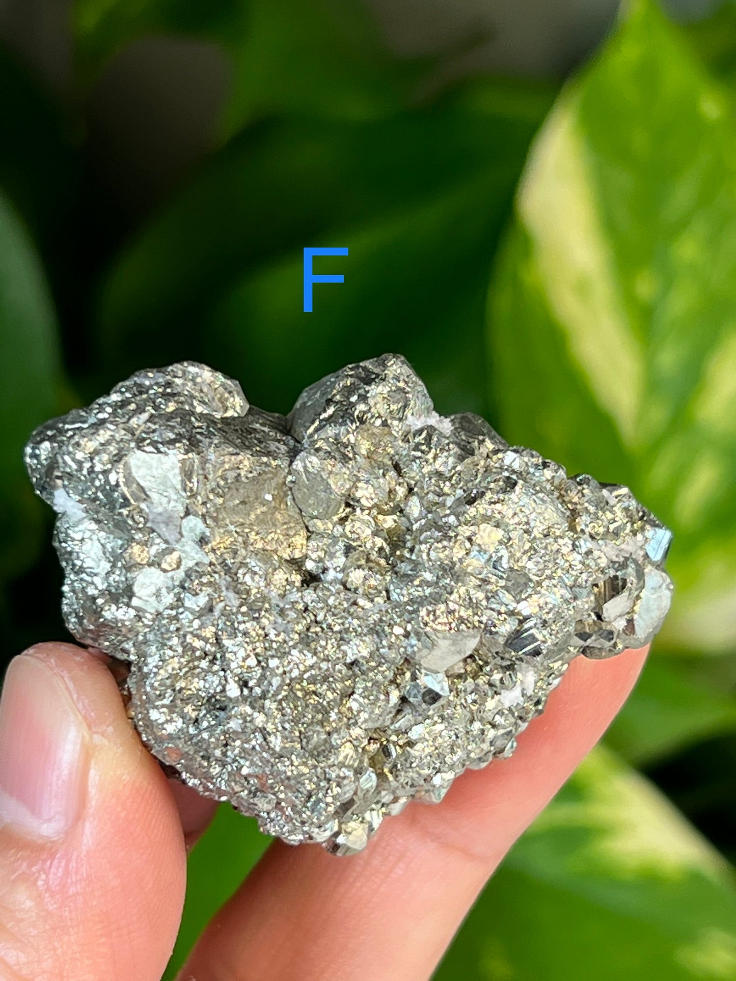 Pyrite