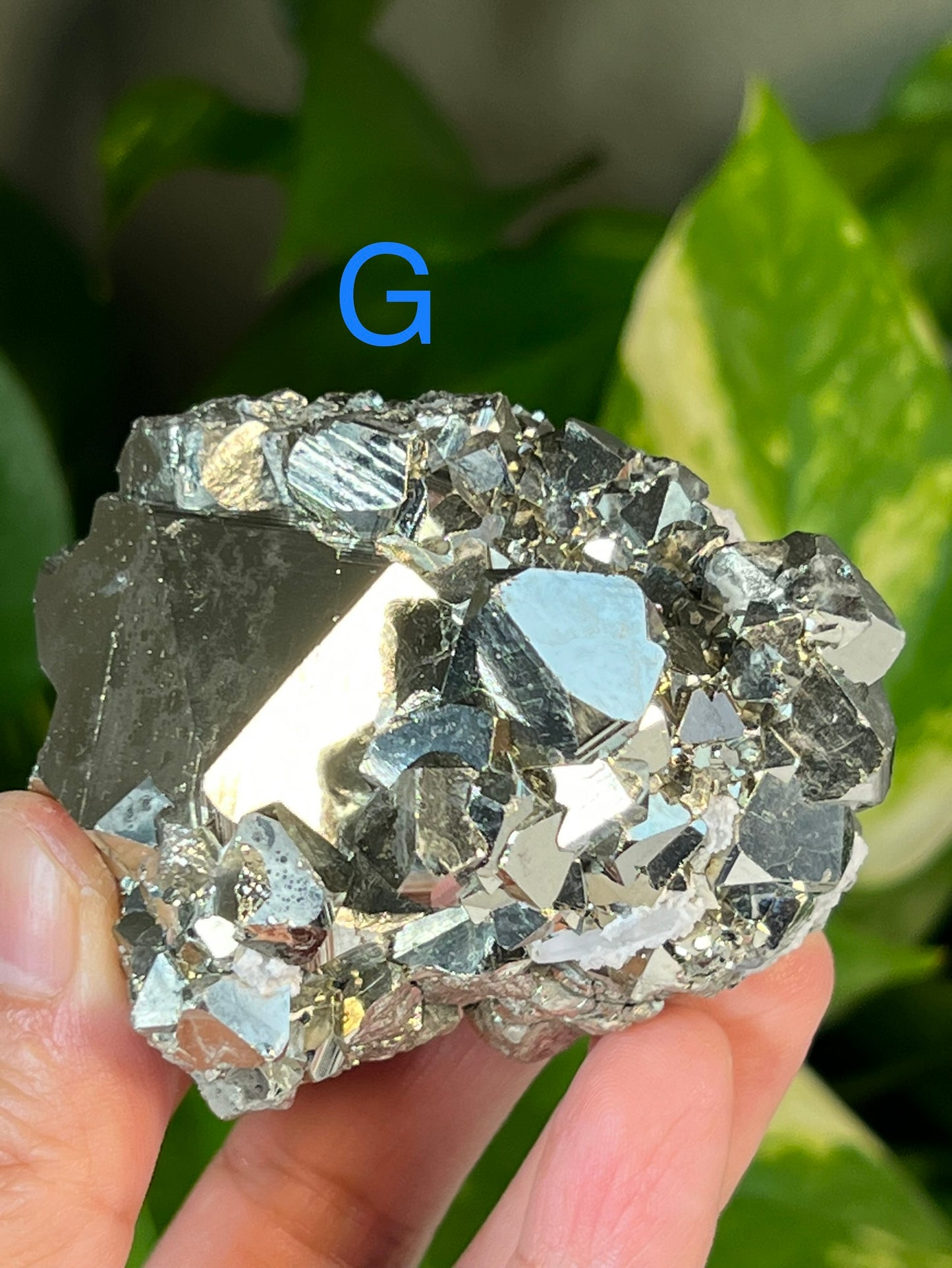 Pyrite