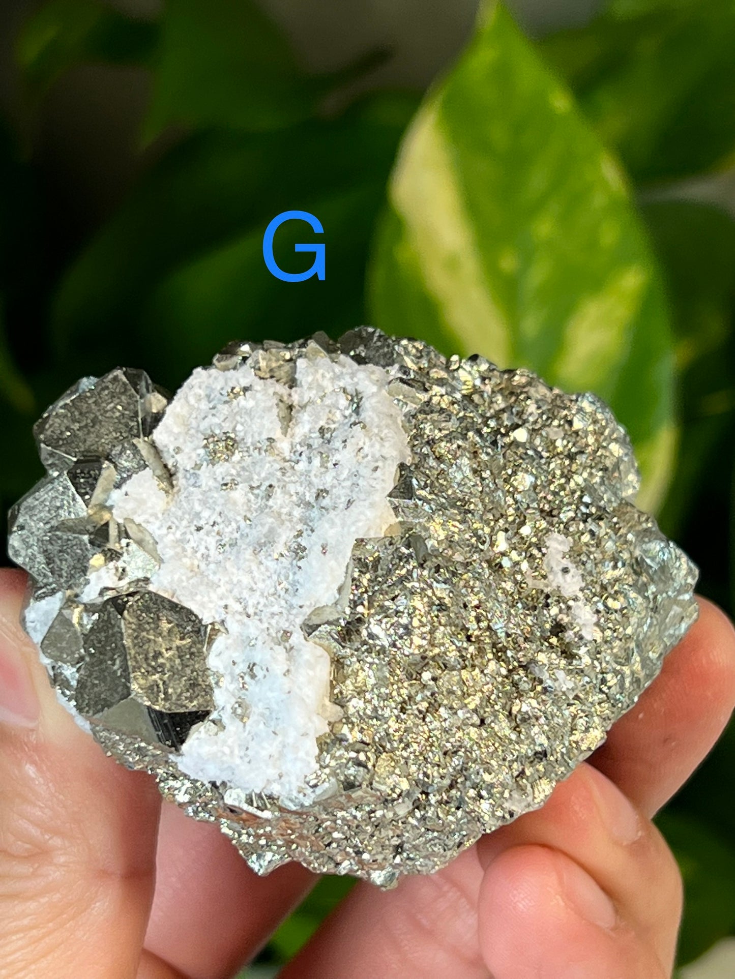 Pyrite