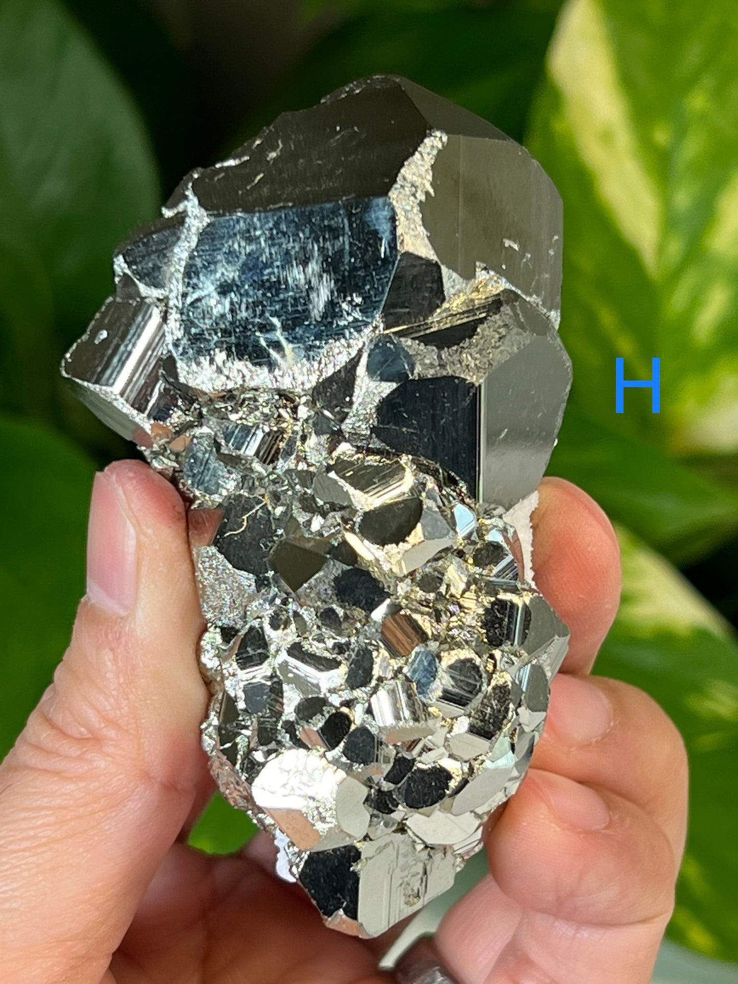 Pyrite