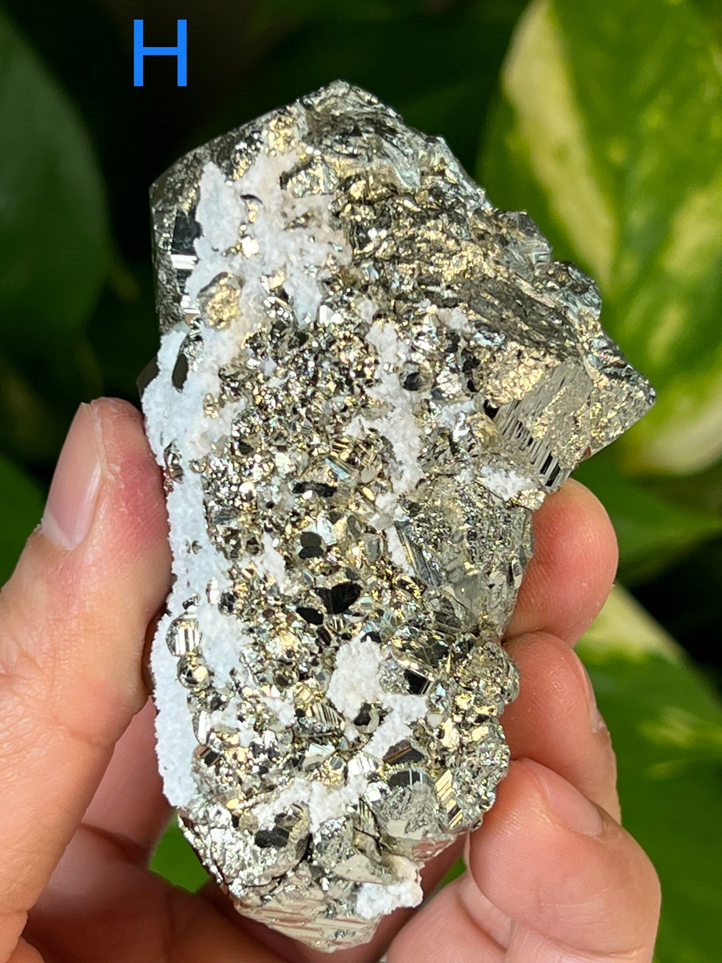 Pyrite