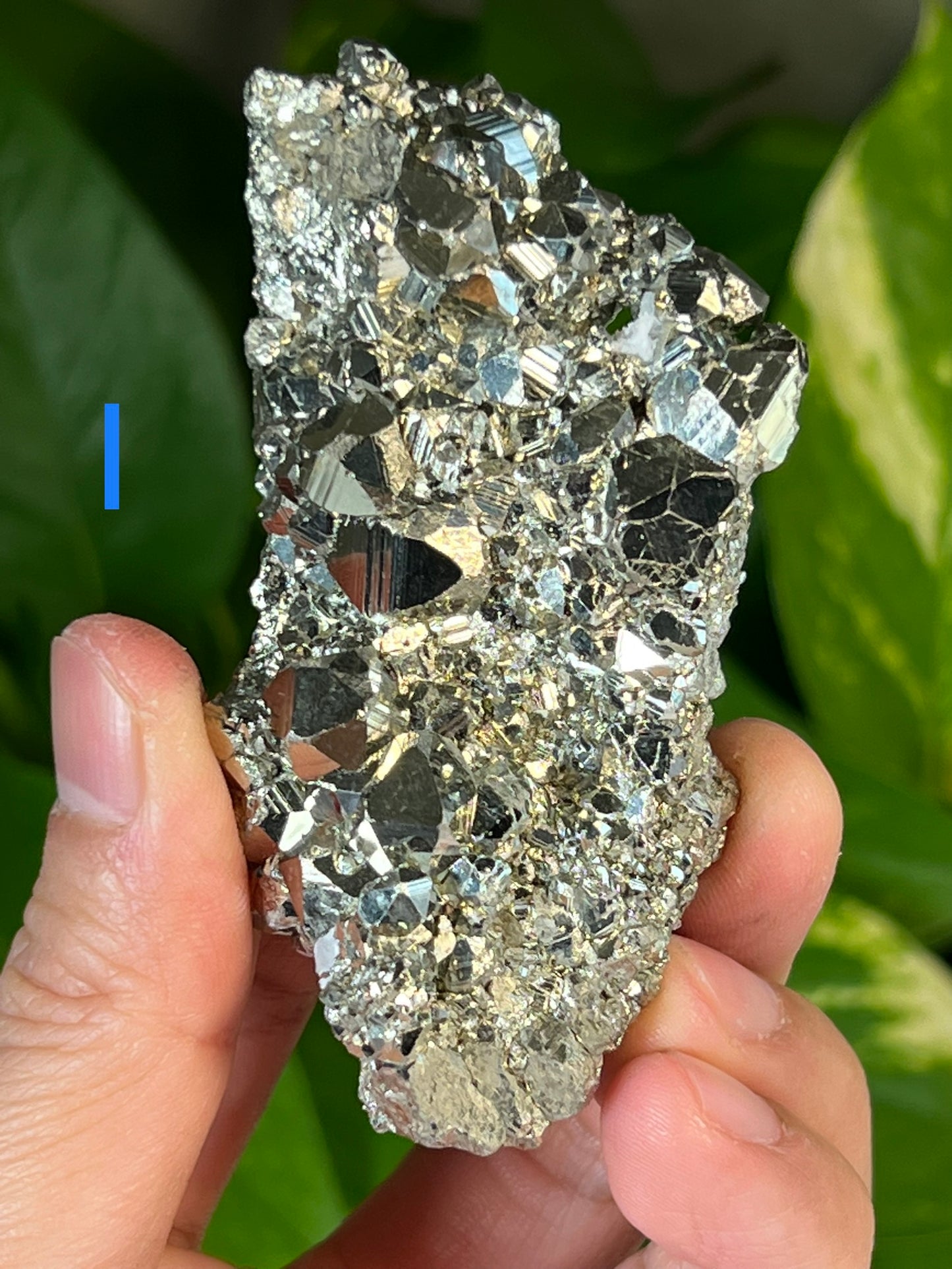 Pyrite