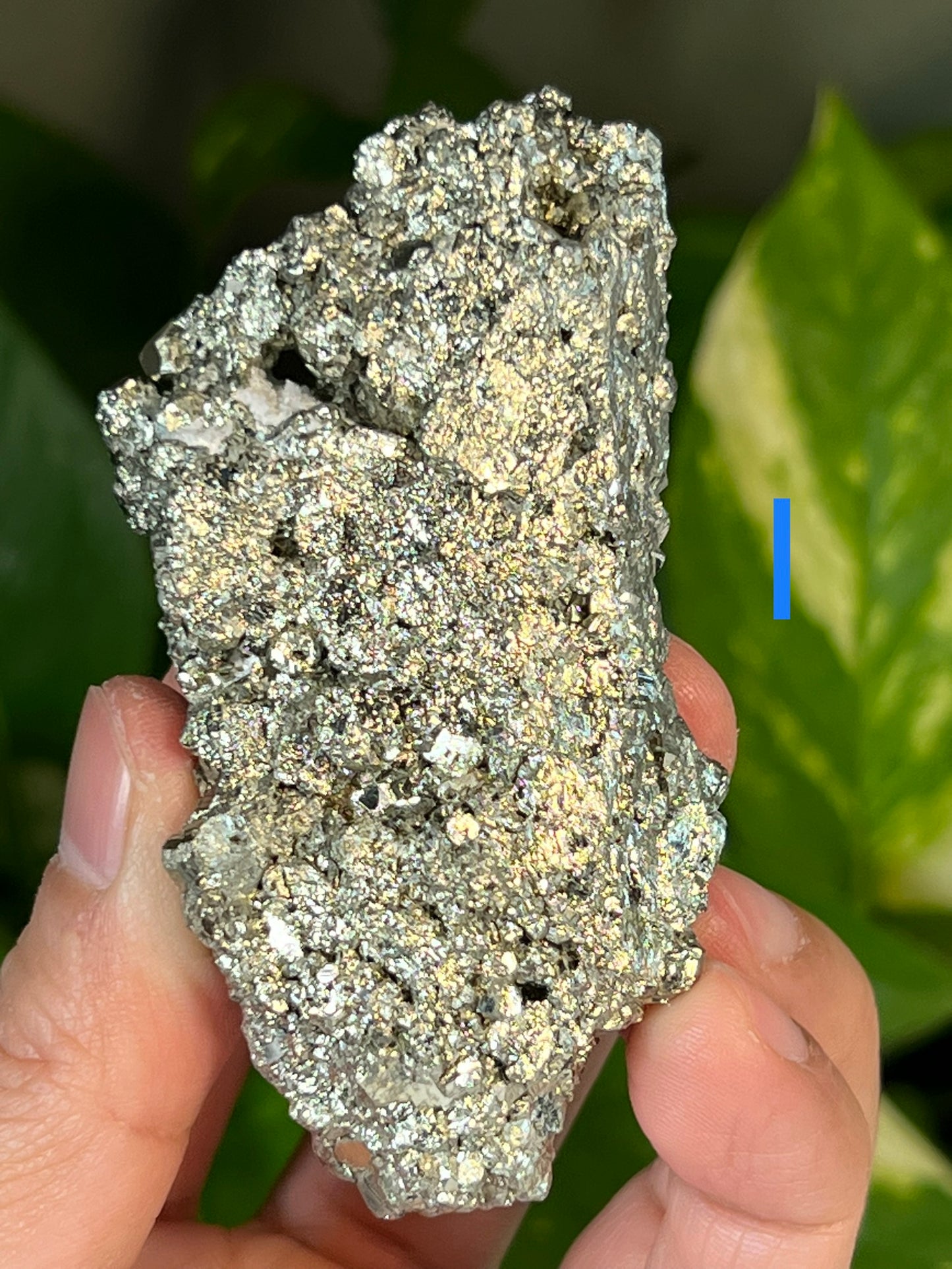 Pyrite