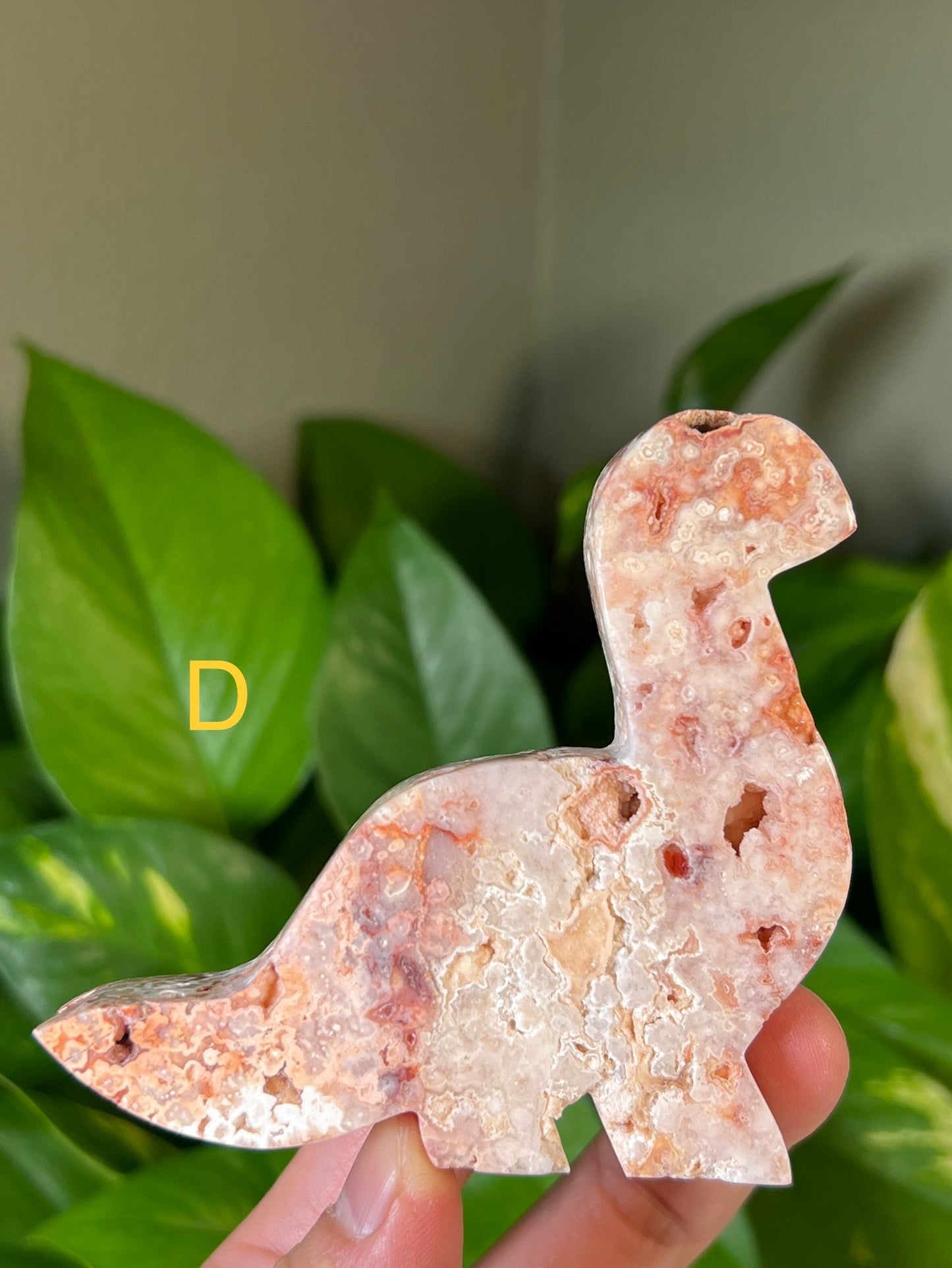 Crazy Lace Agate Dinosours