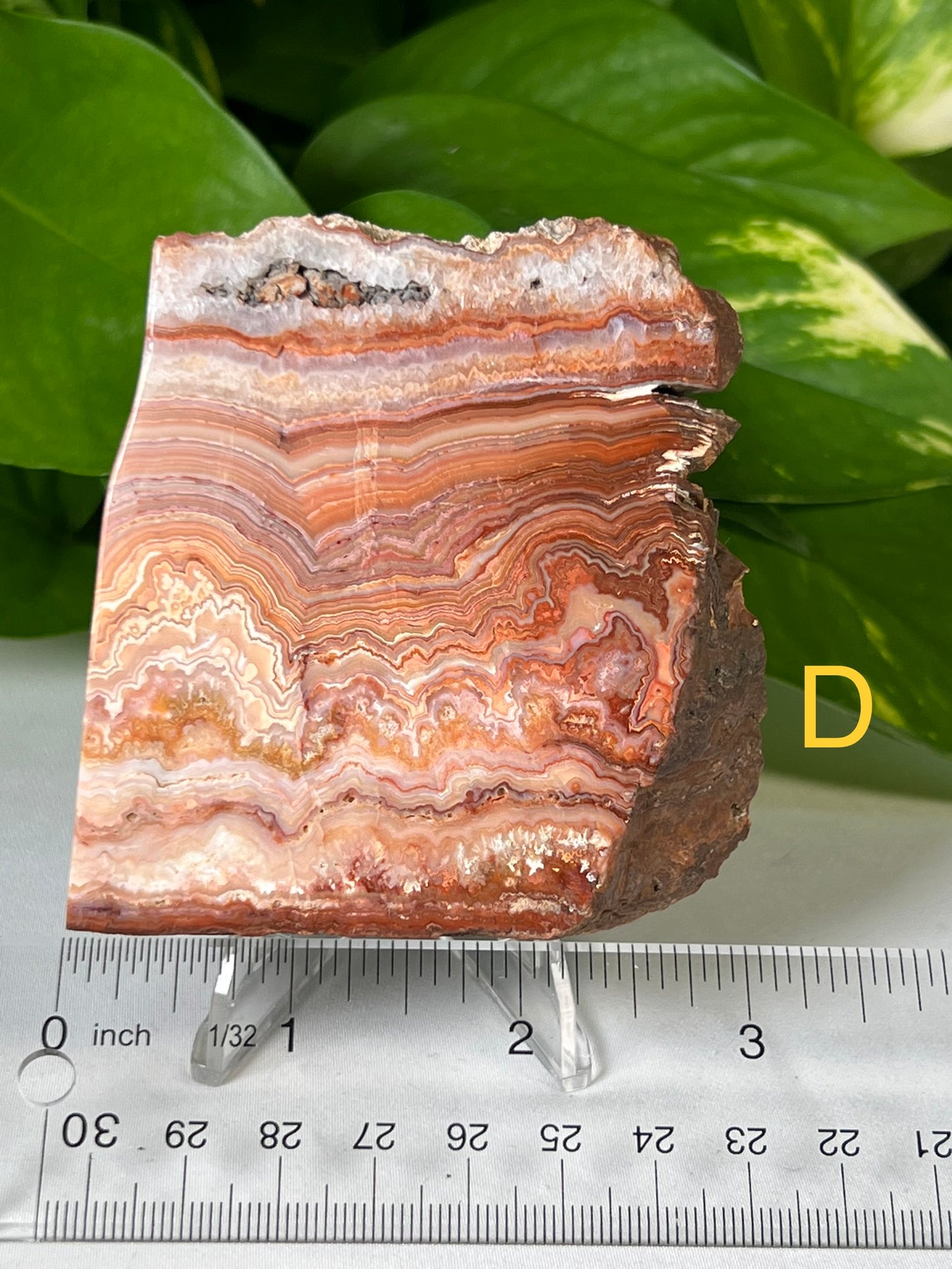 Crazy Lace Agate Slabs