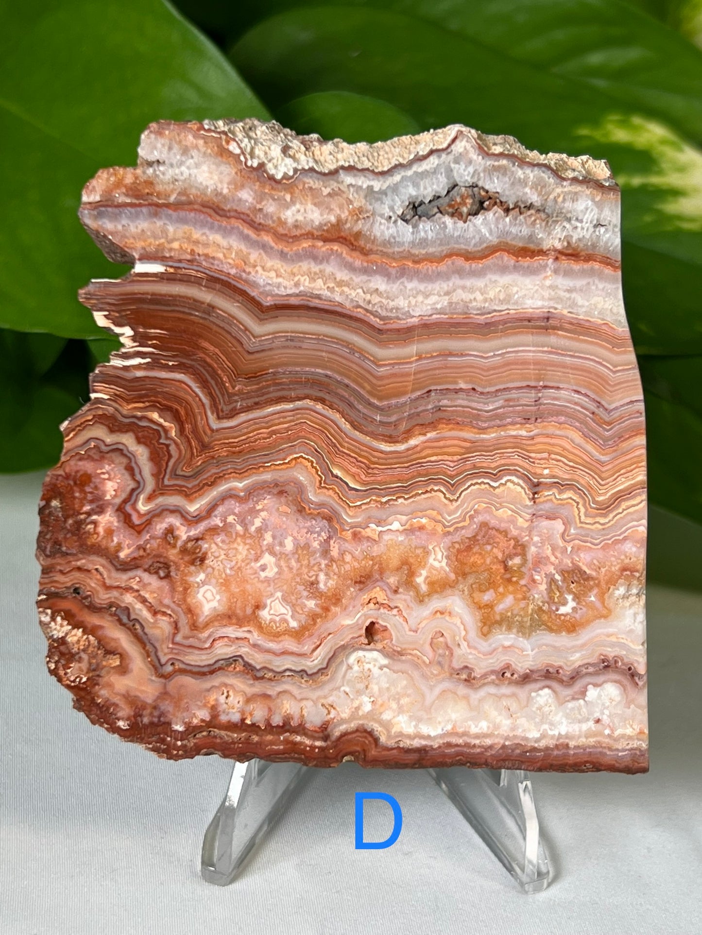 Crazy Lace Agate Slabs