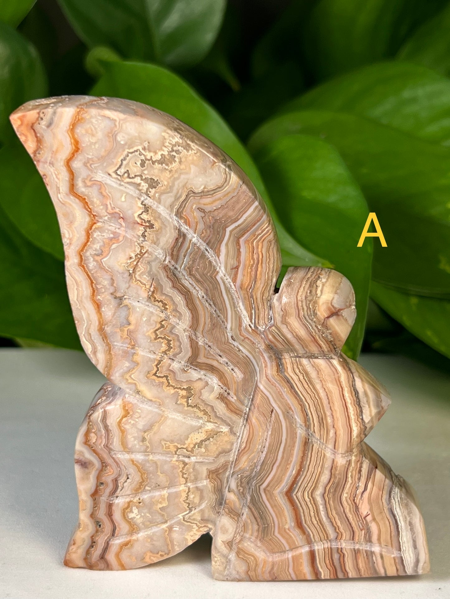 Crazy Lace Agate Fairies