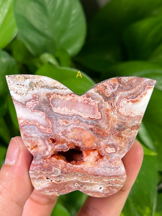 Crazy Lace Agate Butterflies