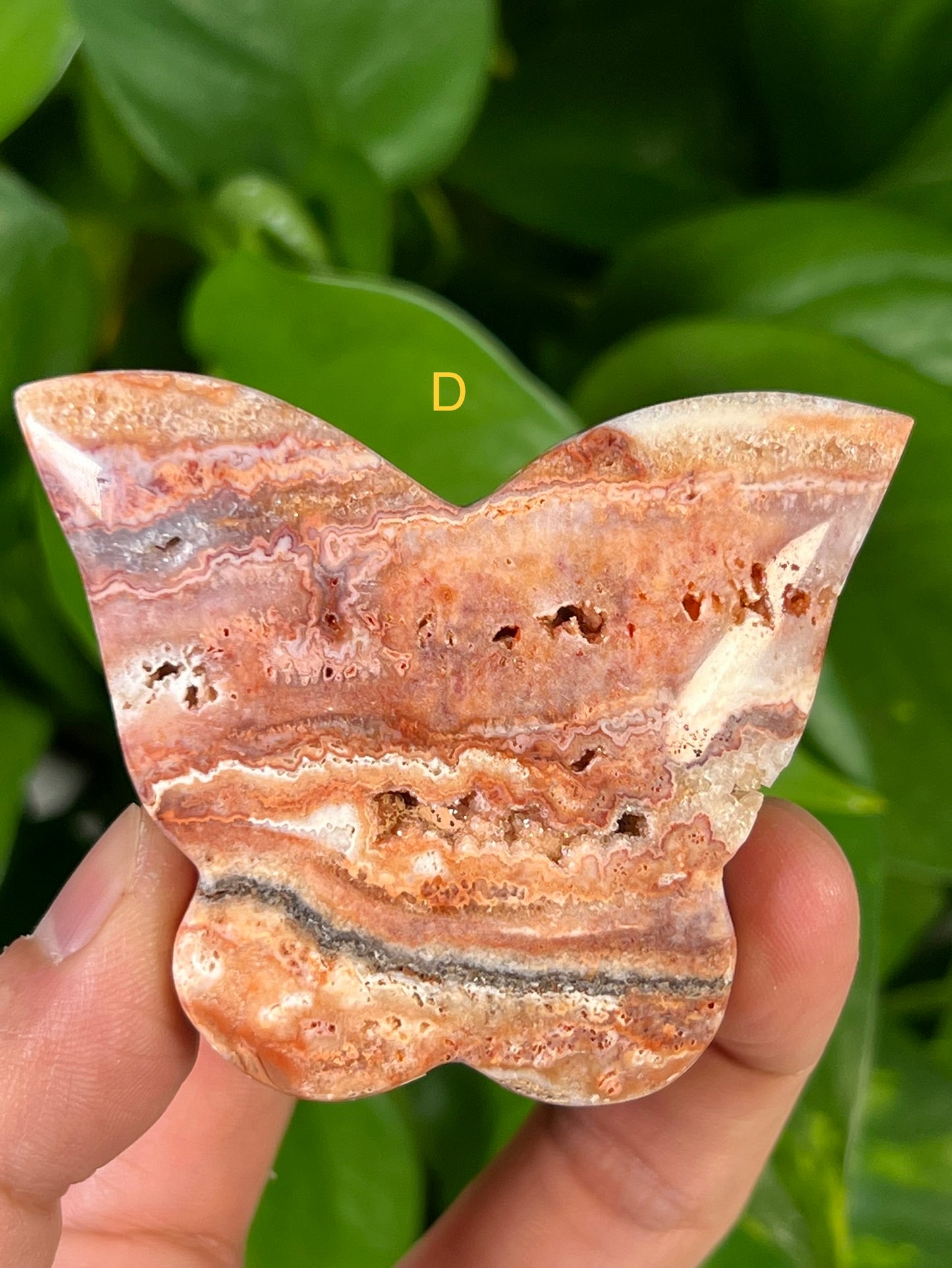 Crazy Lace Agate Butterflies