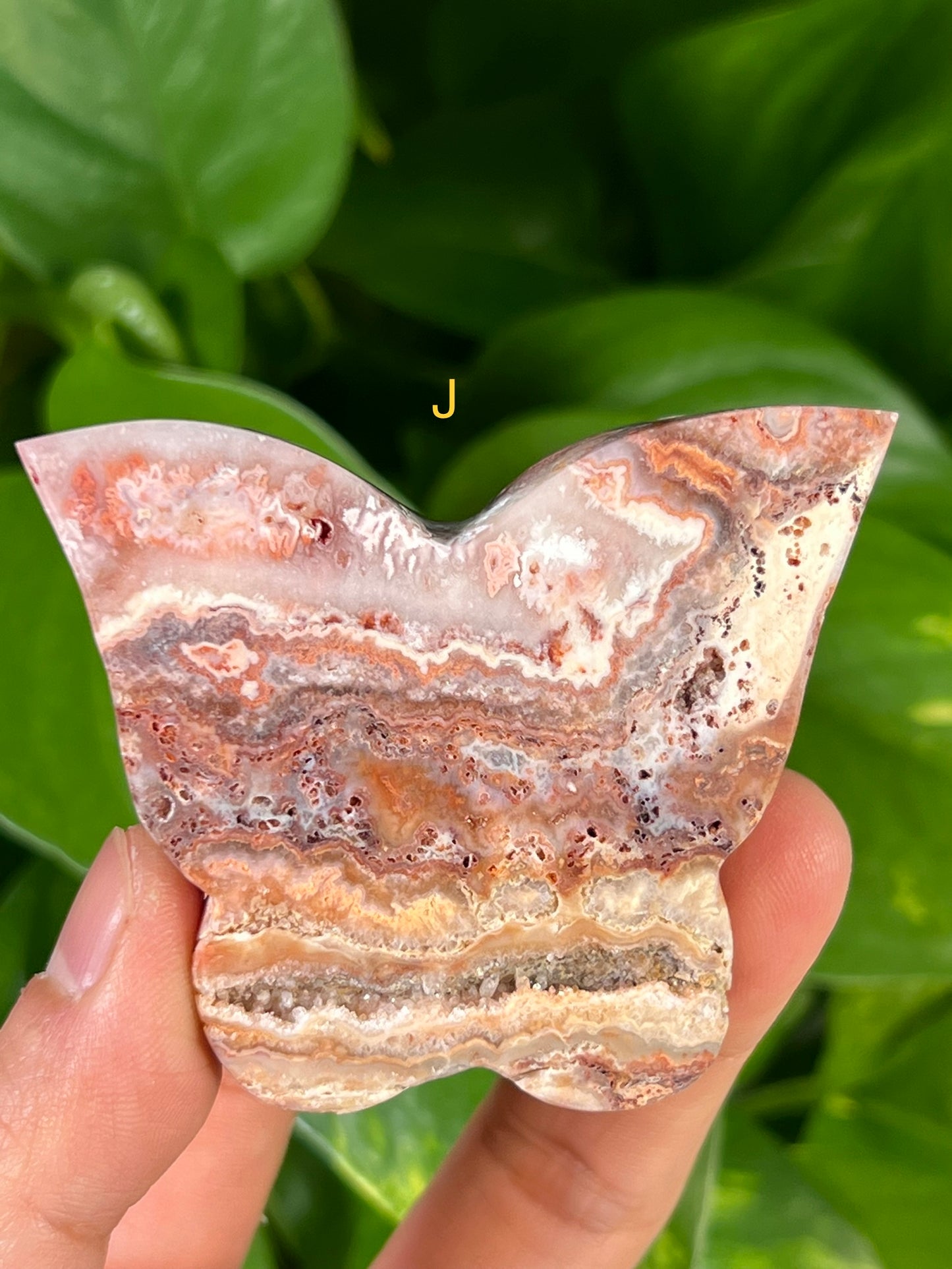 Crazy Lace Agate Butterflies