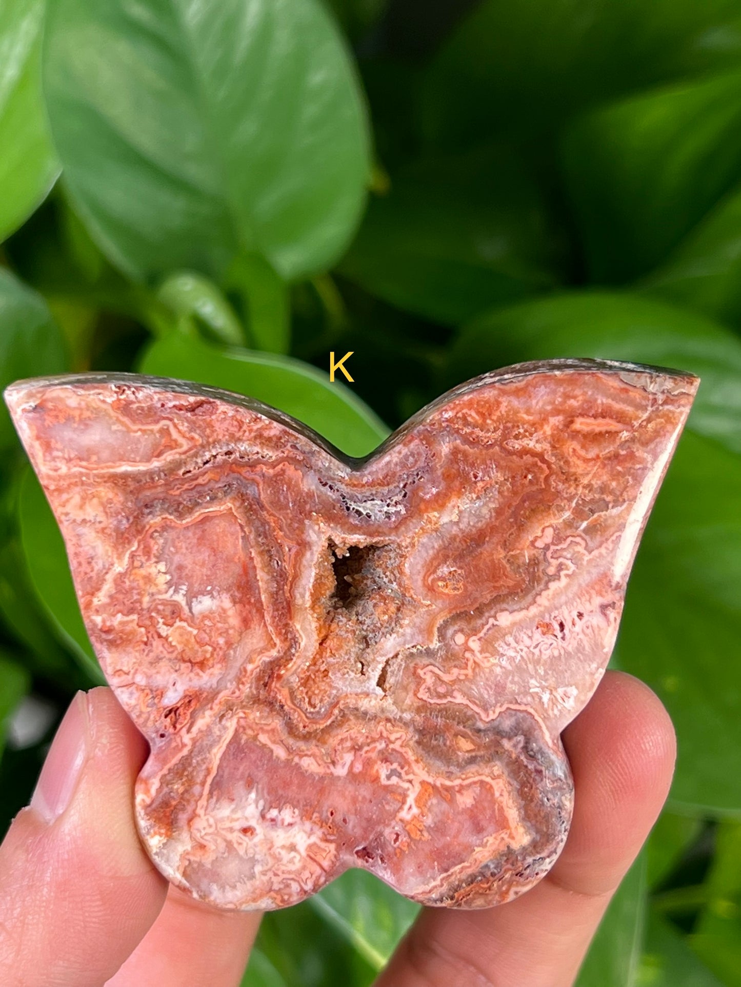 Crazy Lace Agate Butterflies