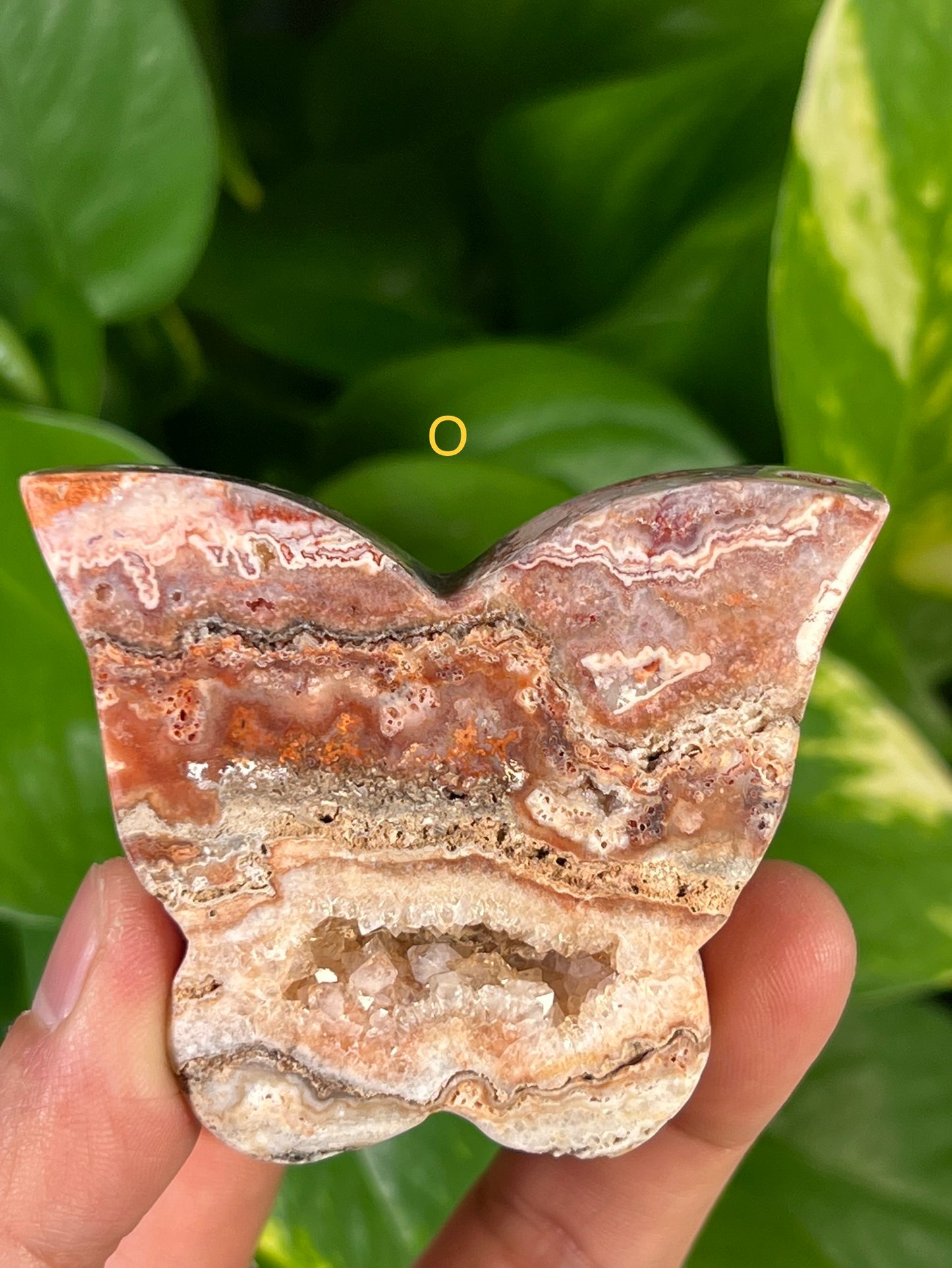 Crazy Lace Agate Butterflies